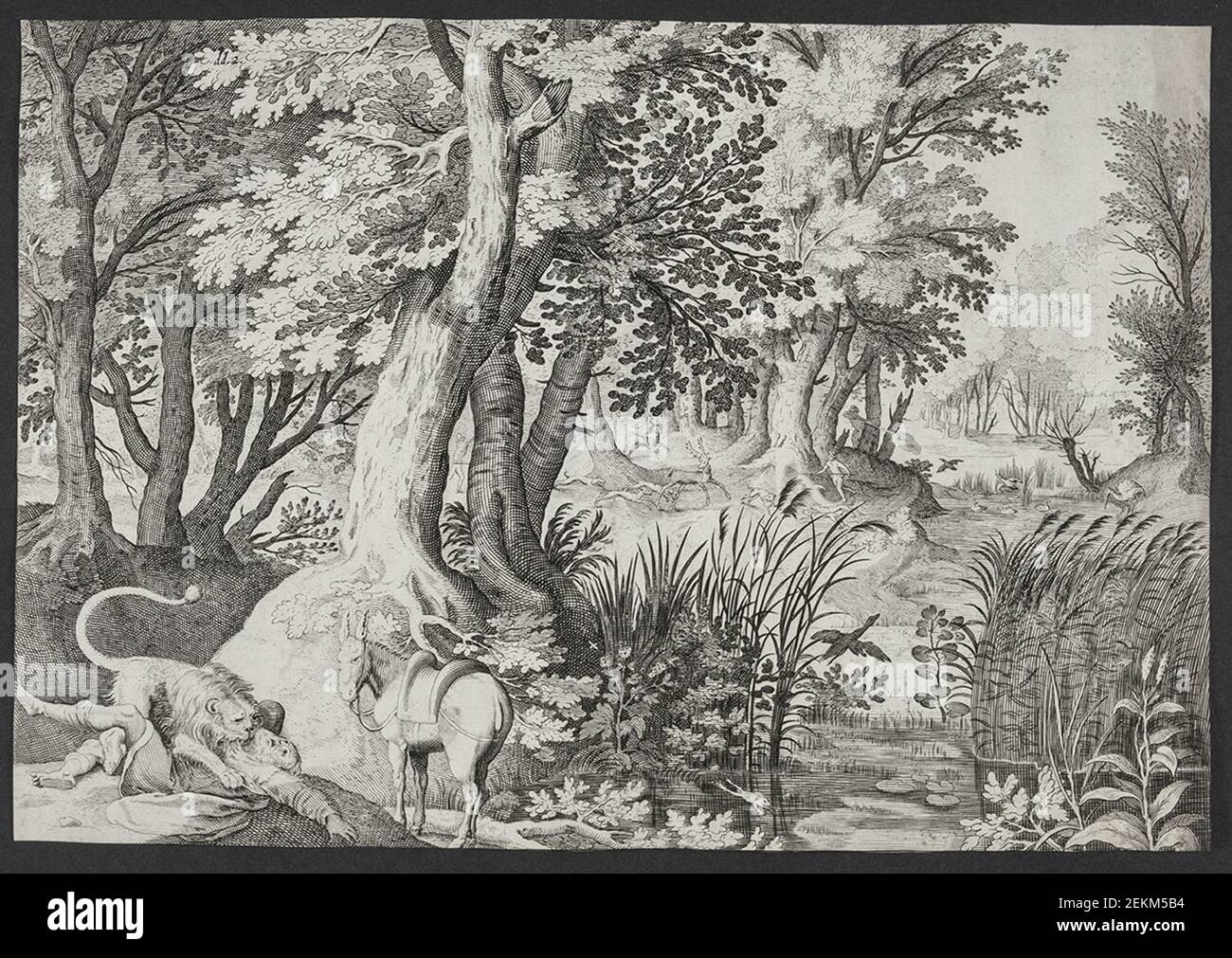 Nicolaes de Bruun (1571-1656); Jacob Savery in (1566-1603);, der ungehorsame Prophet wird von einem Loeve, 3. Quartal 1600 angegriffen Stockfoto