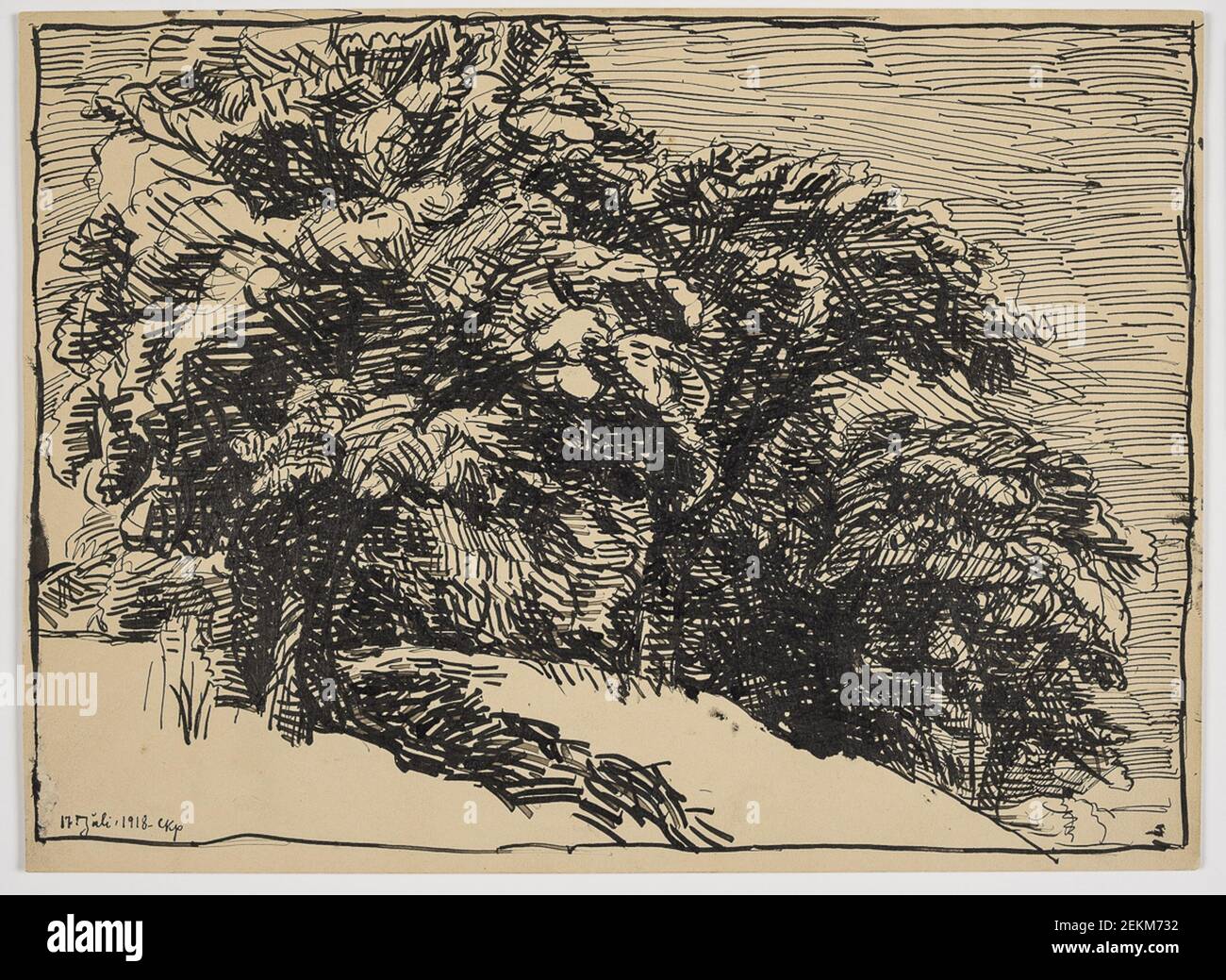 Christian Kongstad Petersen (1862-1940), Oakers on a Brink, 1918 Stockfoto