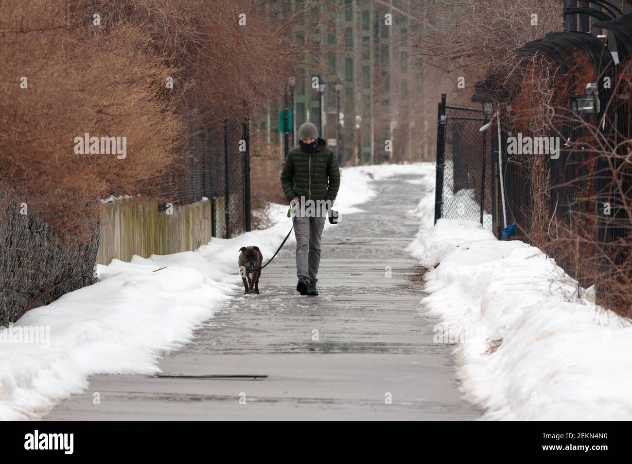 Eine Frau, die sich bei Winterspaziergängen für die Kälte gebündelt hat Eine Grube Bulldog auf einer Leine auf einem städtischen Weg Mit Schnee auf beiden Seiten in New york Stockfoto