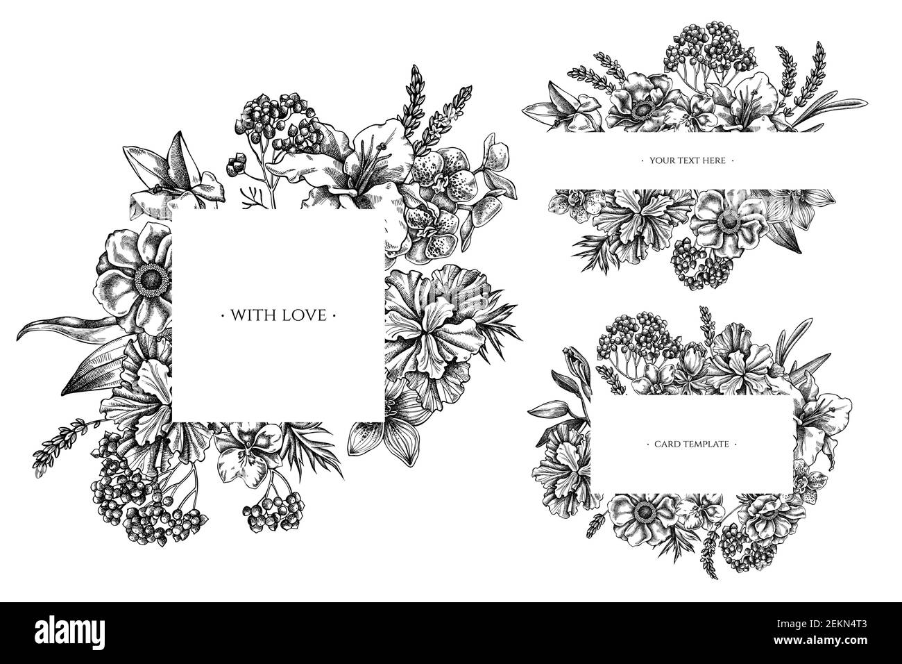 Blumenrahmen mit schwarz-weißen Anemone, Lavendel, Rosmarin Everlasting, phalaenopsis, Lilie, iris Stock Vektor