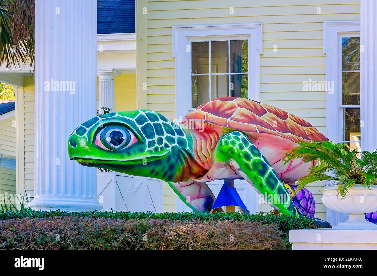 Das historische Rapier Home, erbaut 1885, zeigt Meeresschildkröte Mardi Gras Dekorationen auf Government Street, 19. Februar 2021, in Mobile, Alabama. Stockfoto