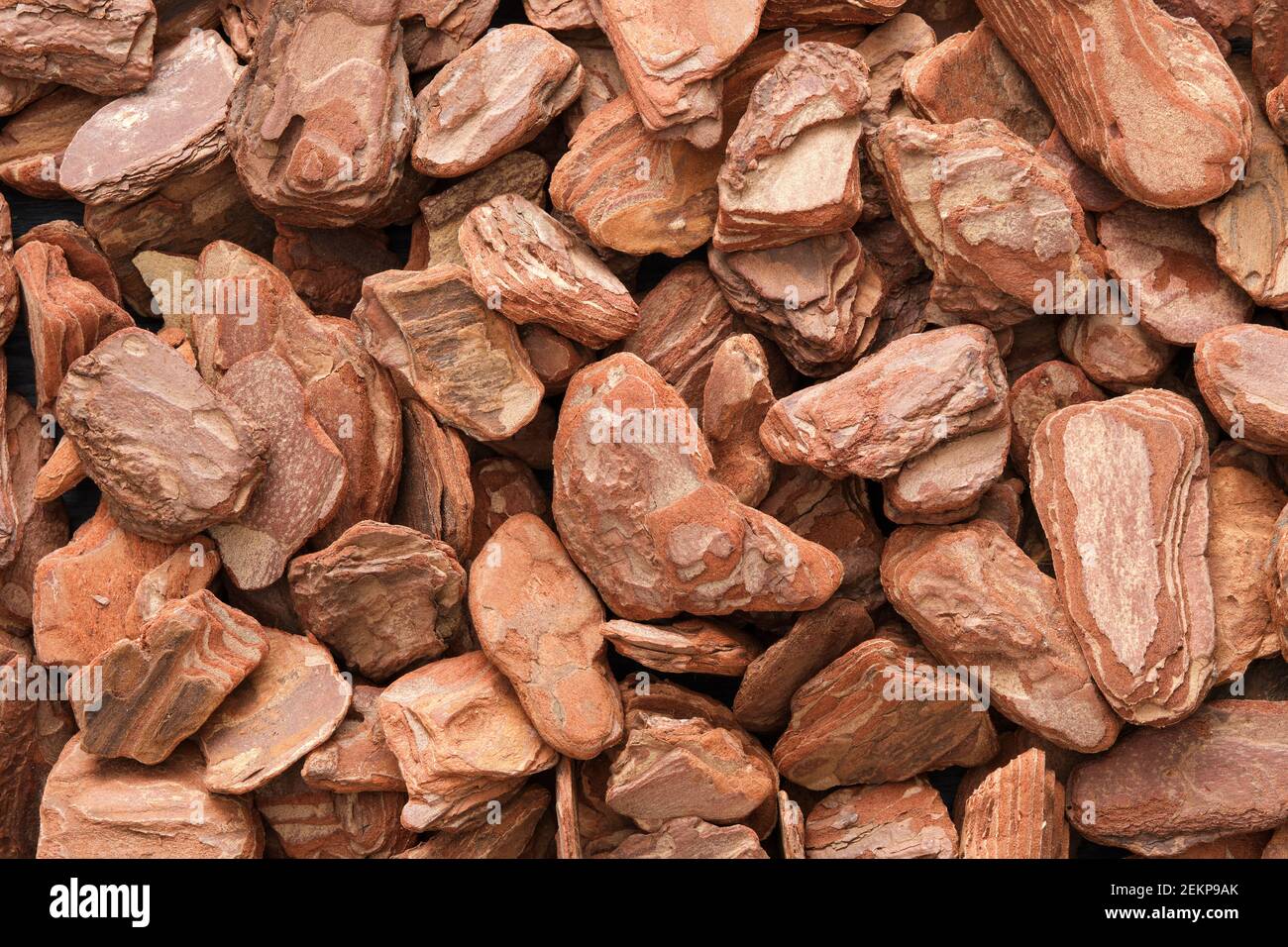 Kiefernrinde, Draufsicht. Hintergrund der getrockneten Pinienrinde. Stockfoto