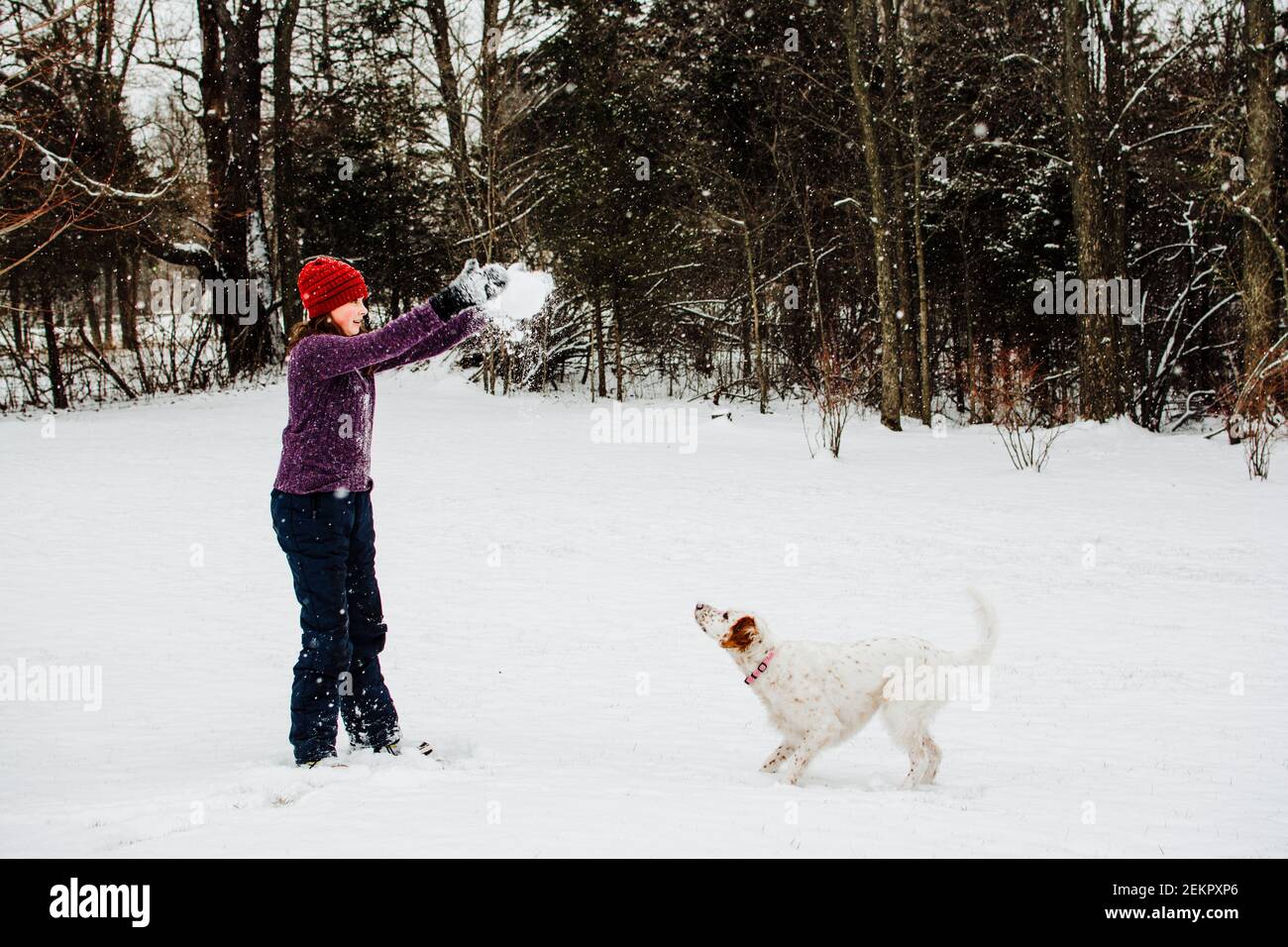 Mädchen spielt im Schnee mit ihrem Hund im Süden Michigan Stockfoto