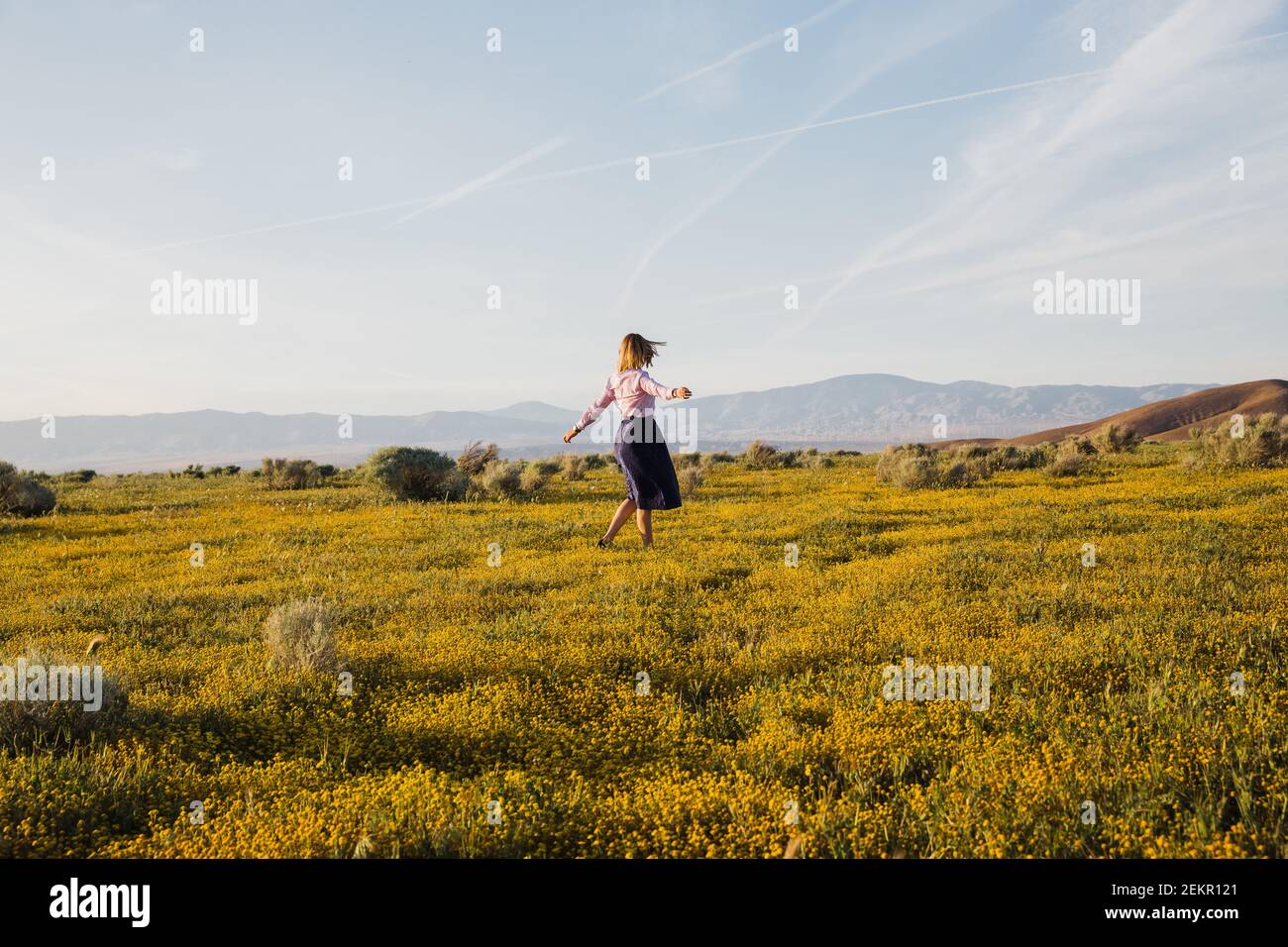 Fröhliche junge Frau tanzt im Wüstenblumenfeld Stockfoto