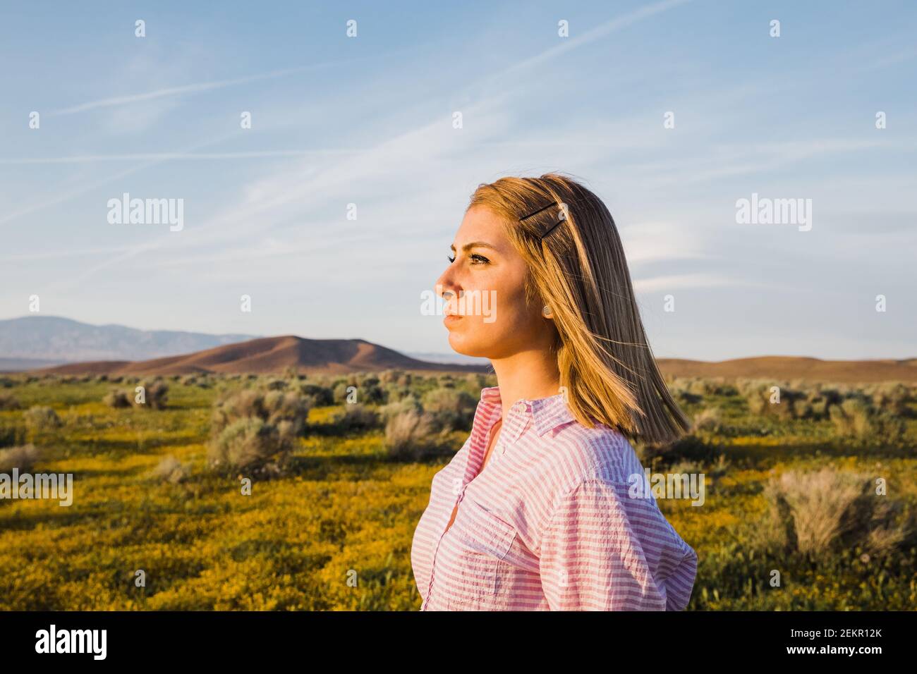Sonnenbeschienene Profil der jungen Frau in Wüste Blumenfeld Stockfoto