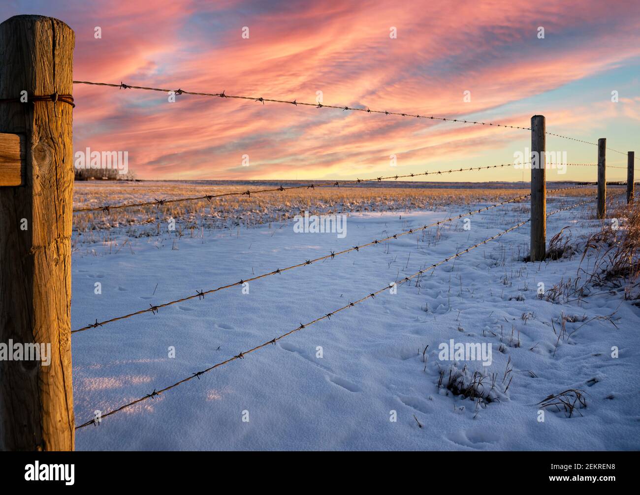 Ein Stacheldrahtzaun bei Sonnenaufgang unter einem dramatischen Himmel Auf den kanadischen Prärien in Rocky View County Alberta Stockfoto