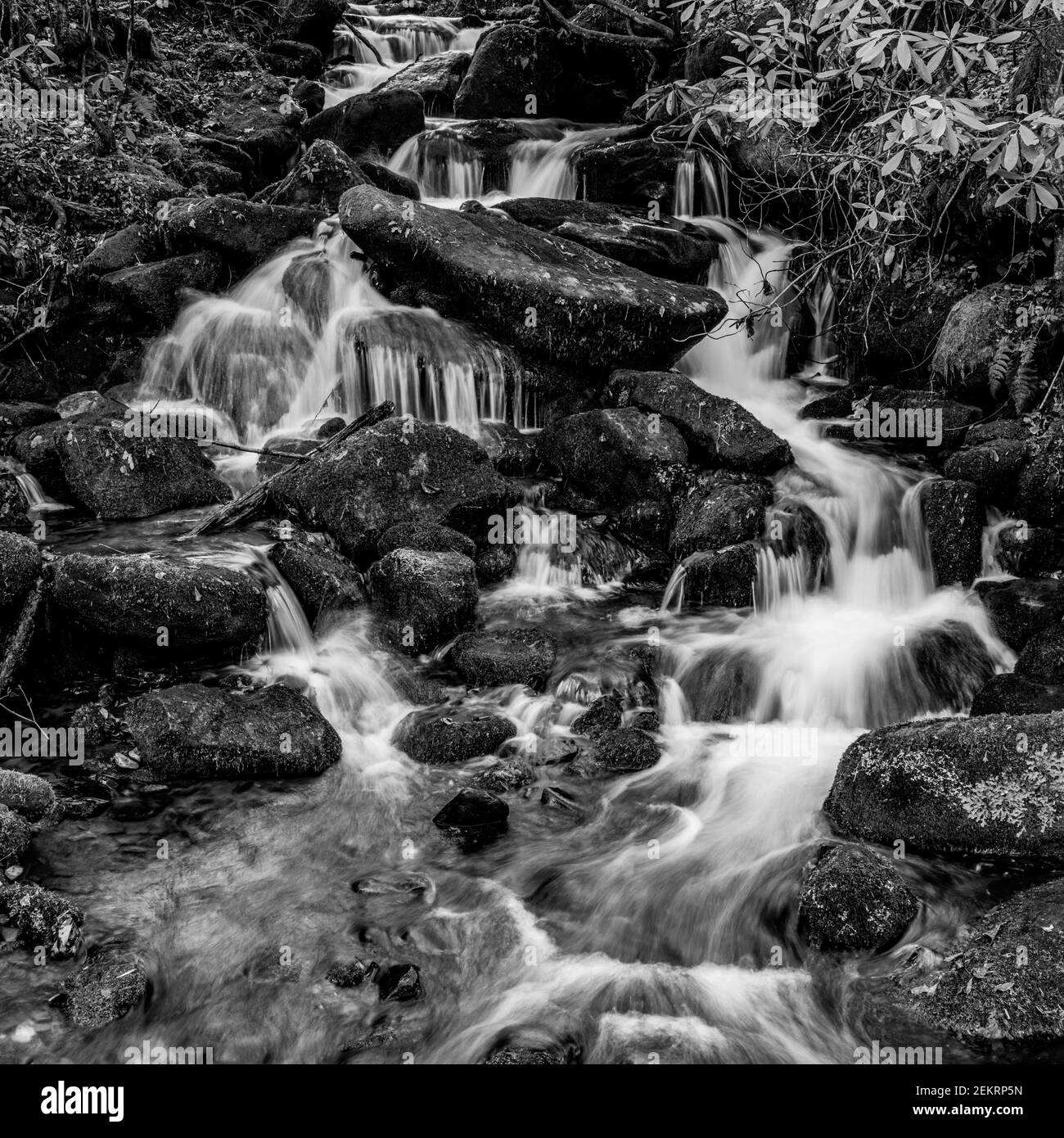 Wasserkaskaden über Mossy Rocks in Schwarz und Weiß Stockfoto