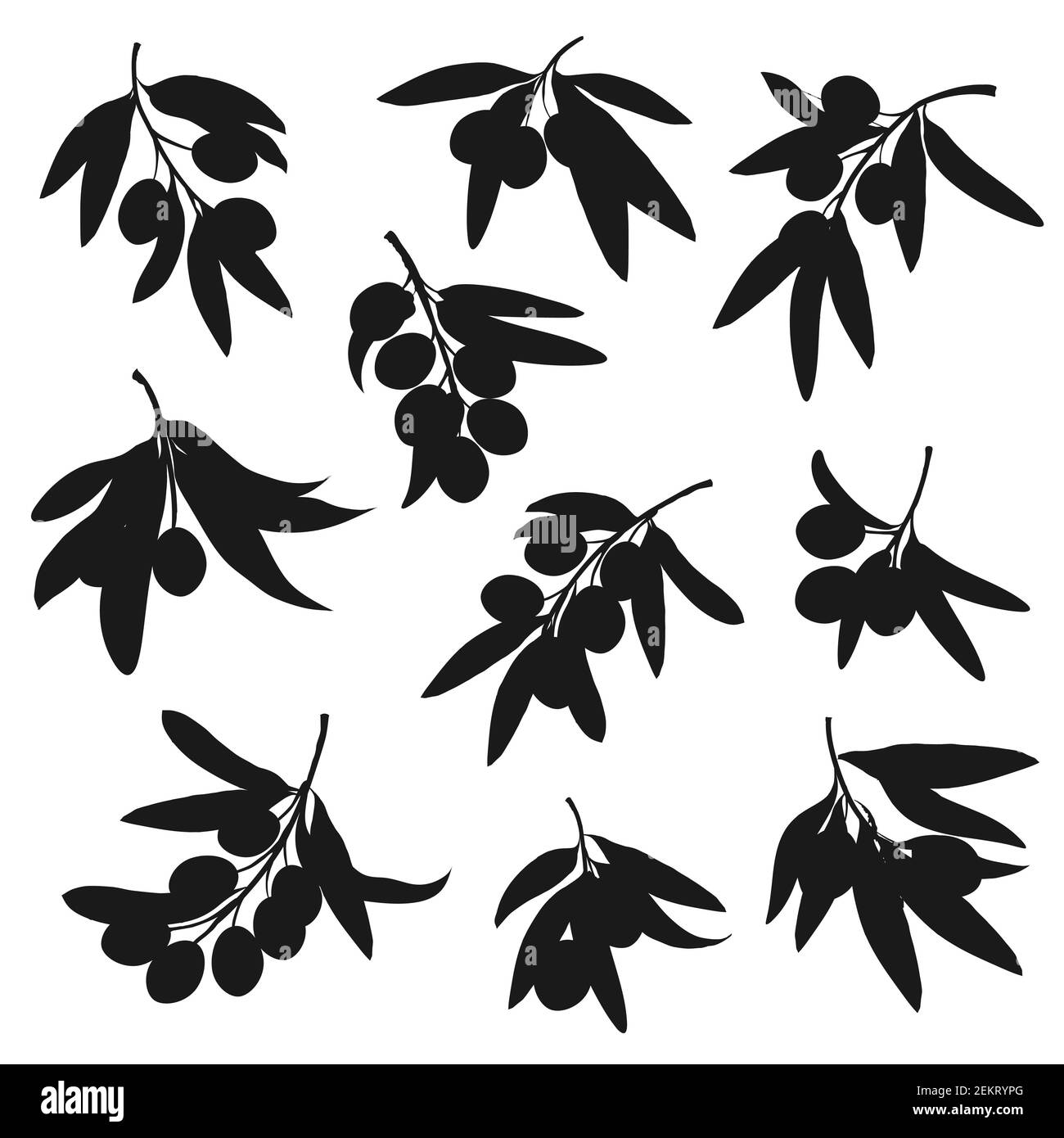 Olivenbaum Zweig schwarze Silhouetten mit Vektor-Olivenfrüchte und Blätter. Öl Lebensmittel Zutaten aus Griechenland und Italien, mediterrane Küche Gemüse con Stock Vektor