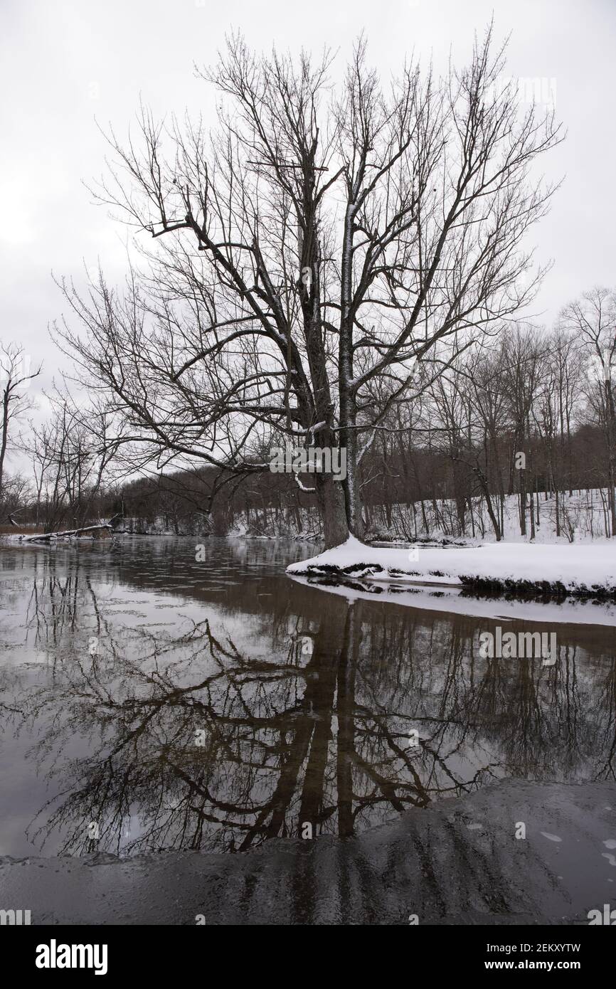 Die Landschaft der flachen Rive, Fallasburg Park, Lowell, MI, Januar, 2021 Stockfoto