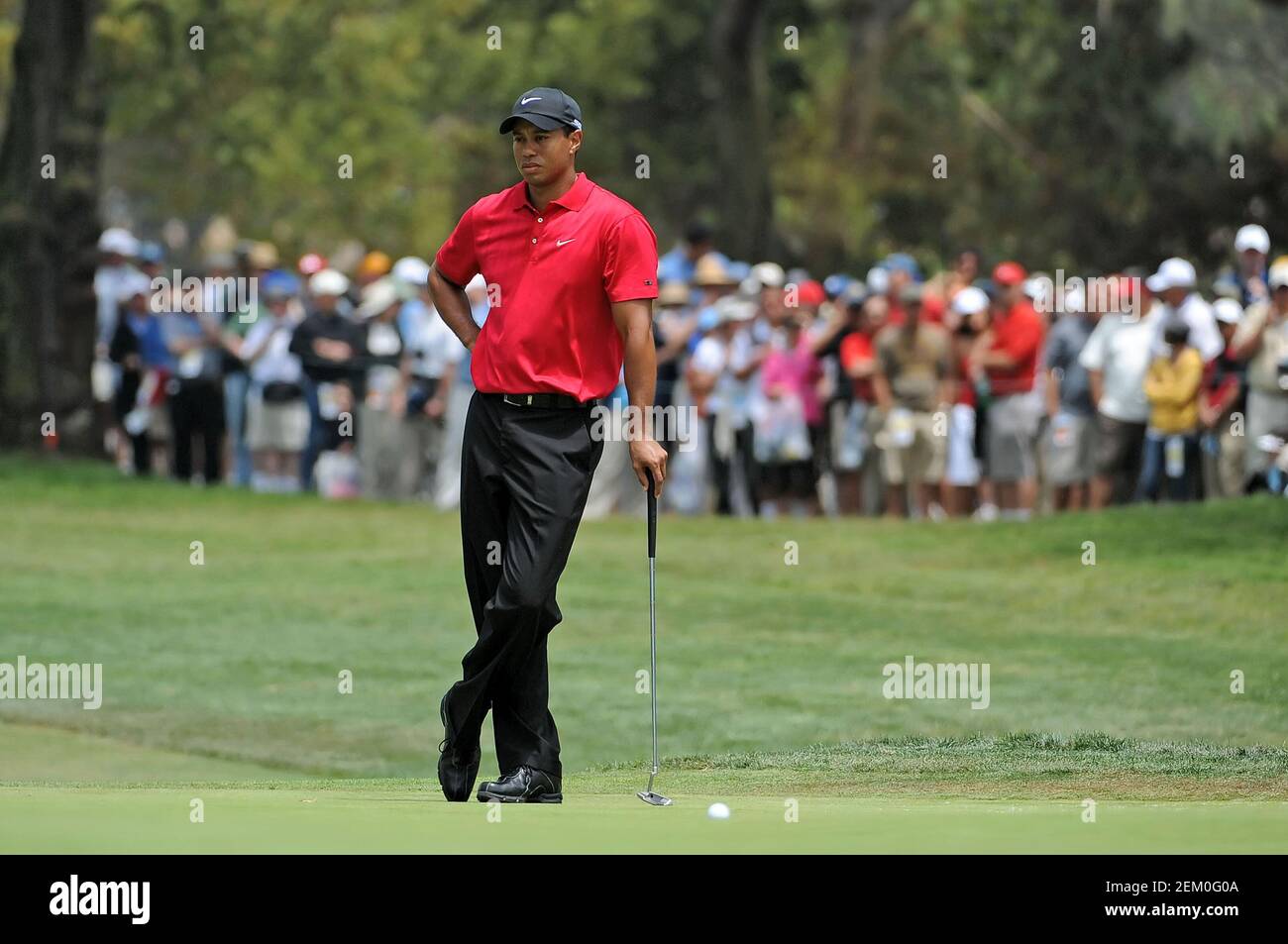 San Diego, Kalifornien. 15th. Juni 2008. Tiger Woods (USA) auf dem Fairway des 1st-Loch-Sonntags während der Finalrunde der US Open auf dem Torrey Pines Golf Course in La Jolla California. Louis Lopez/Cal Sport Media. Kredit: csm/Alamy Live Nachrichten Stockfoto