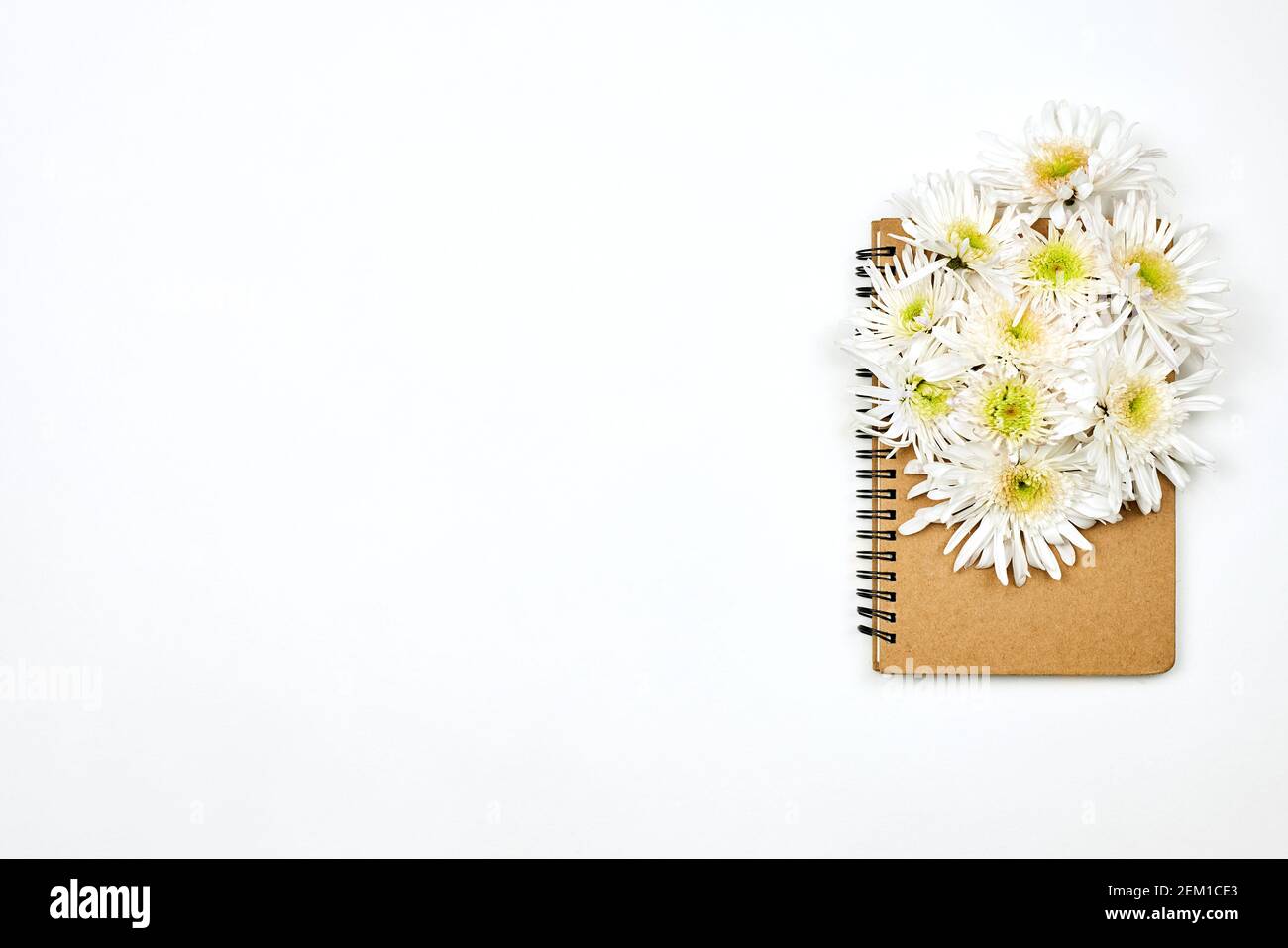 Ein Notizblock mit weißen Blumen darauf und Platz auf weißem Hintergrund kopieren. Ein Arbeitsplatz einer jungen Frau. Schöne weiße Blume und Notizbuch auf weiß Stockfoto
