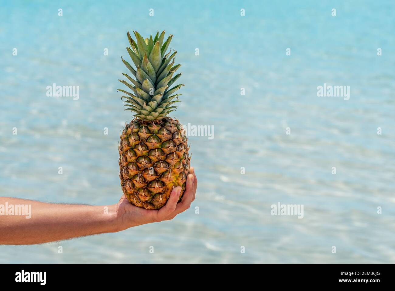 Mann hält Ananas auf Meeresgrund. Urlaub und Reisekonzept. Stockfoto