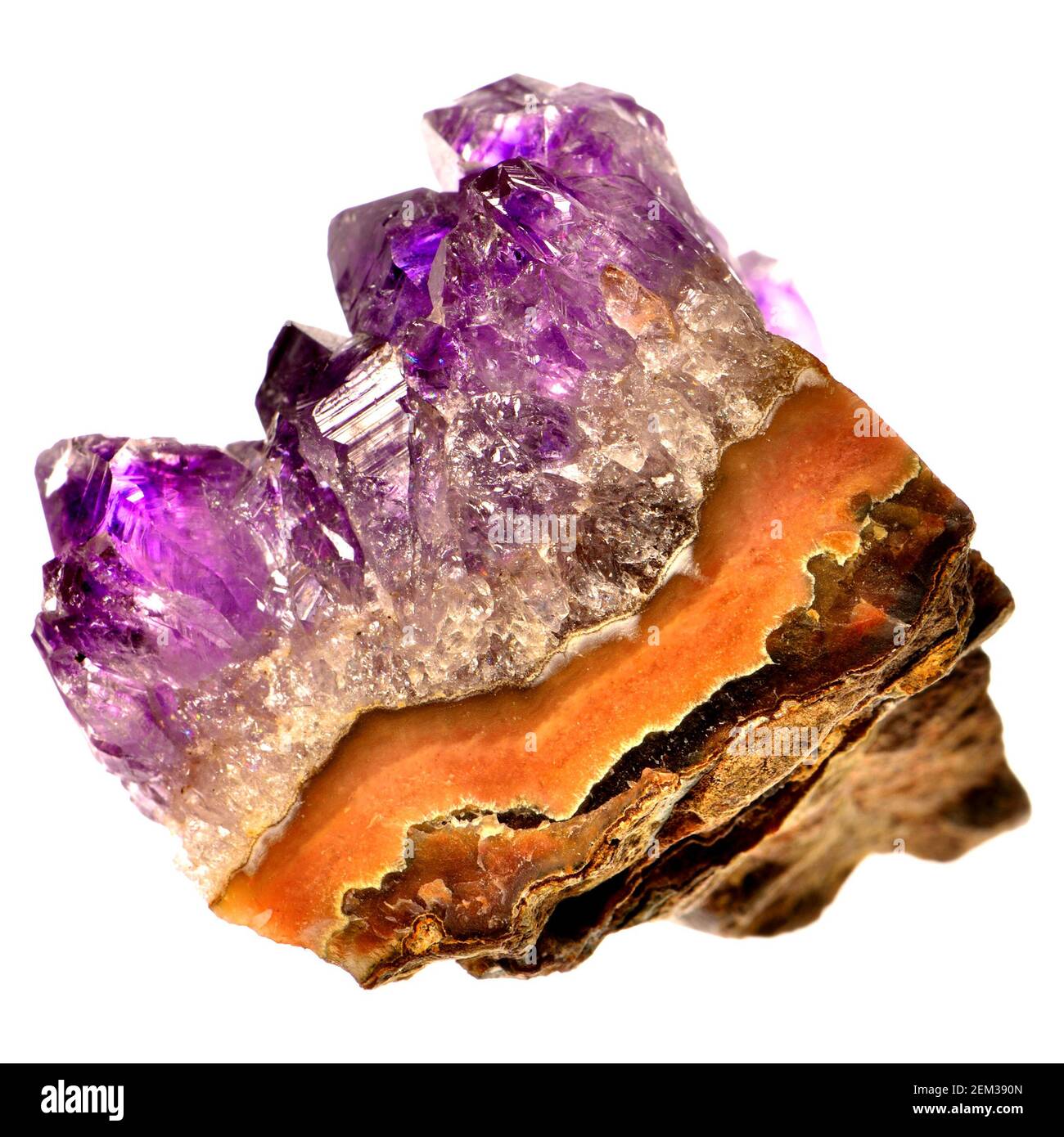 Amethyst-Kristalle (purpurner Quarz) auf einer Matrix aus Gesteinsschichten Stockfoto