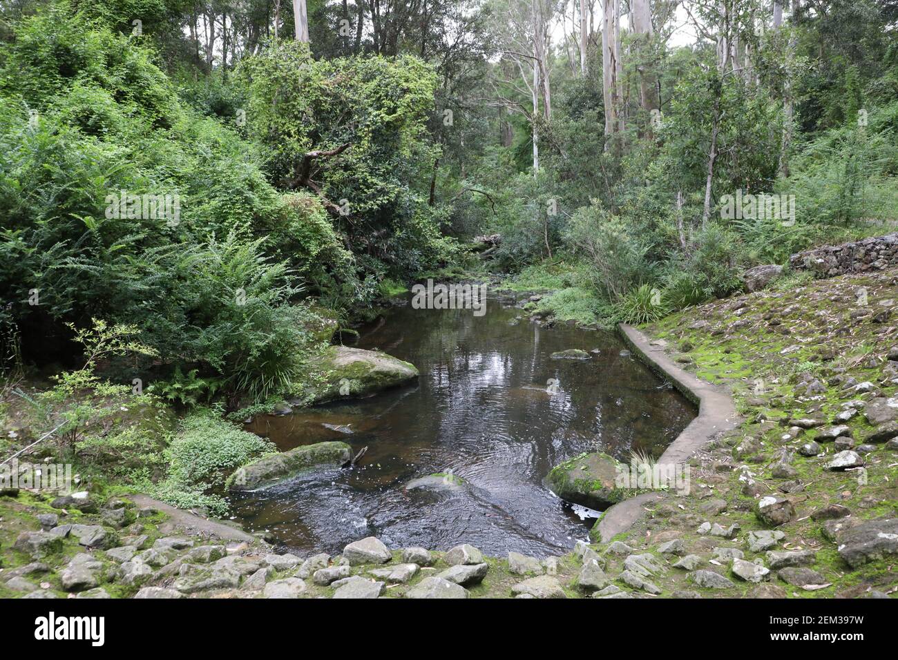 Browns Waterhole im Lane Cove National Park, North Epping, Sydney, NSW, Australien. Stockfoto