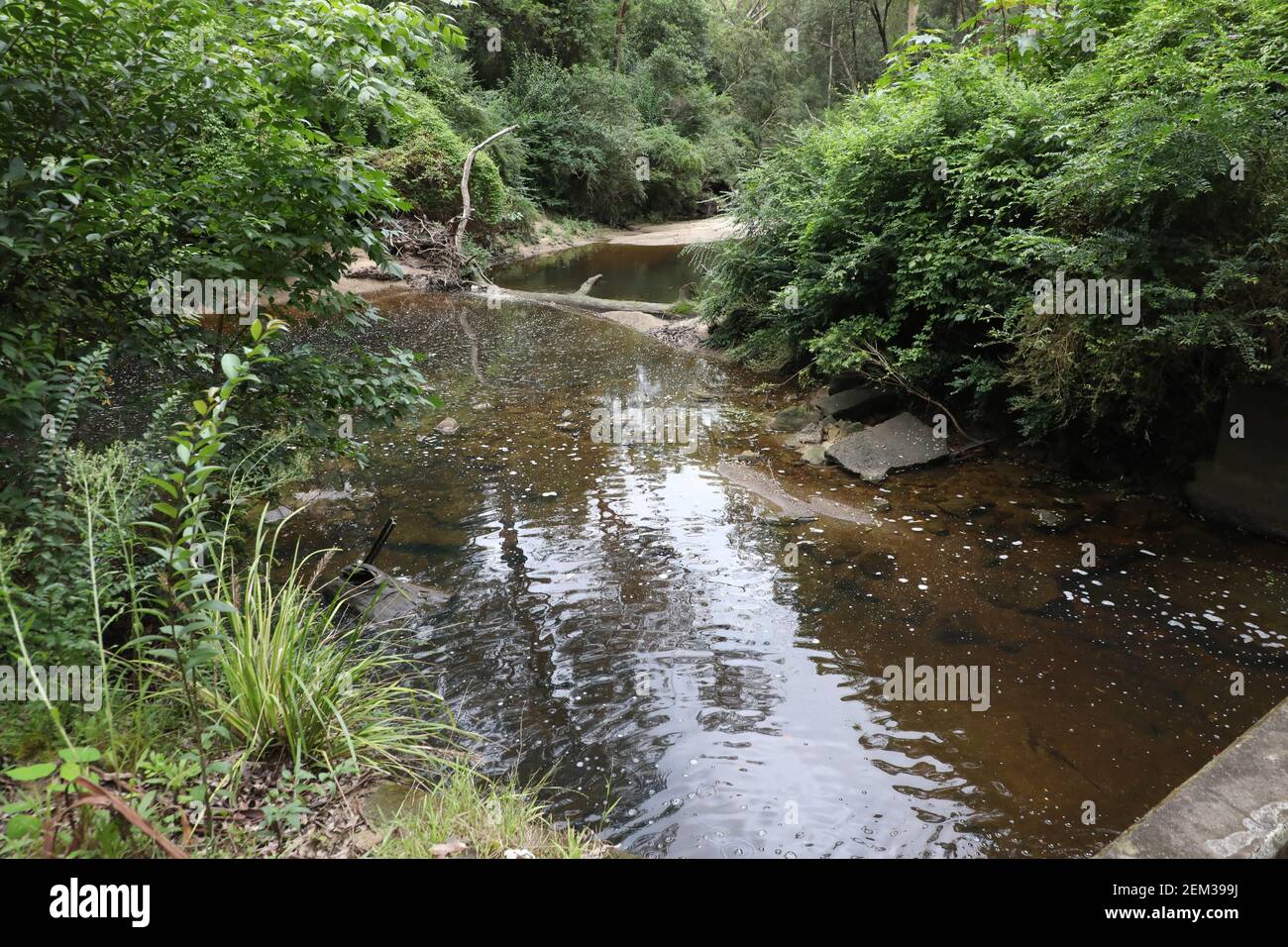 Browns Waterhole im Lane Cove National Park, North Epping, Sydney, NSW, Australien. Stockfoto