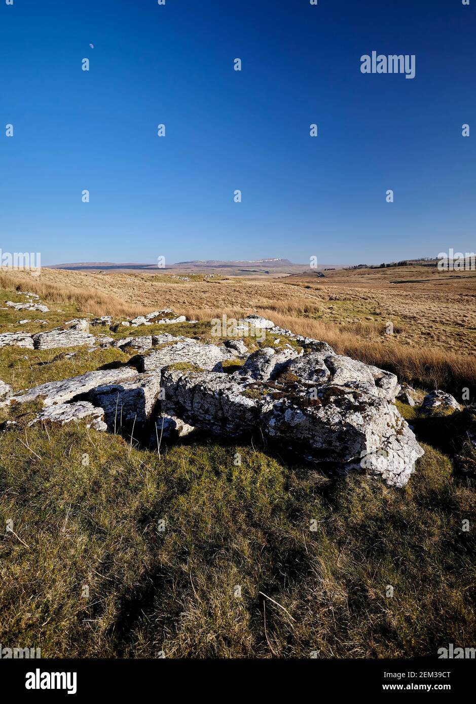 Kalksteinausbisse bei Whernside mit einem entfernten Pen Y Gent im Hintergrund. Stockfoto