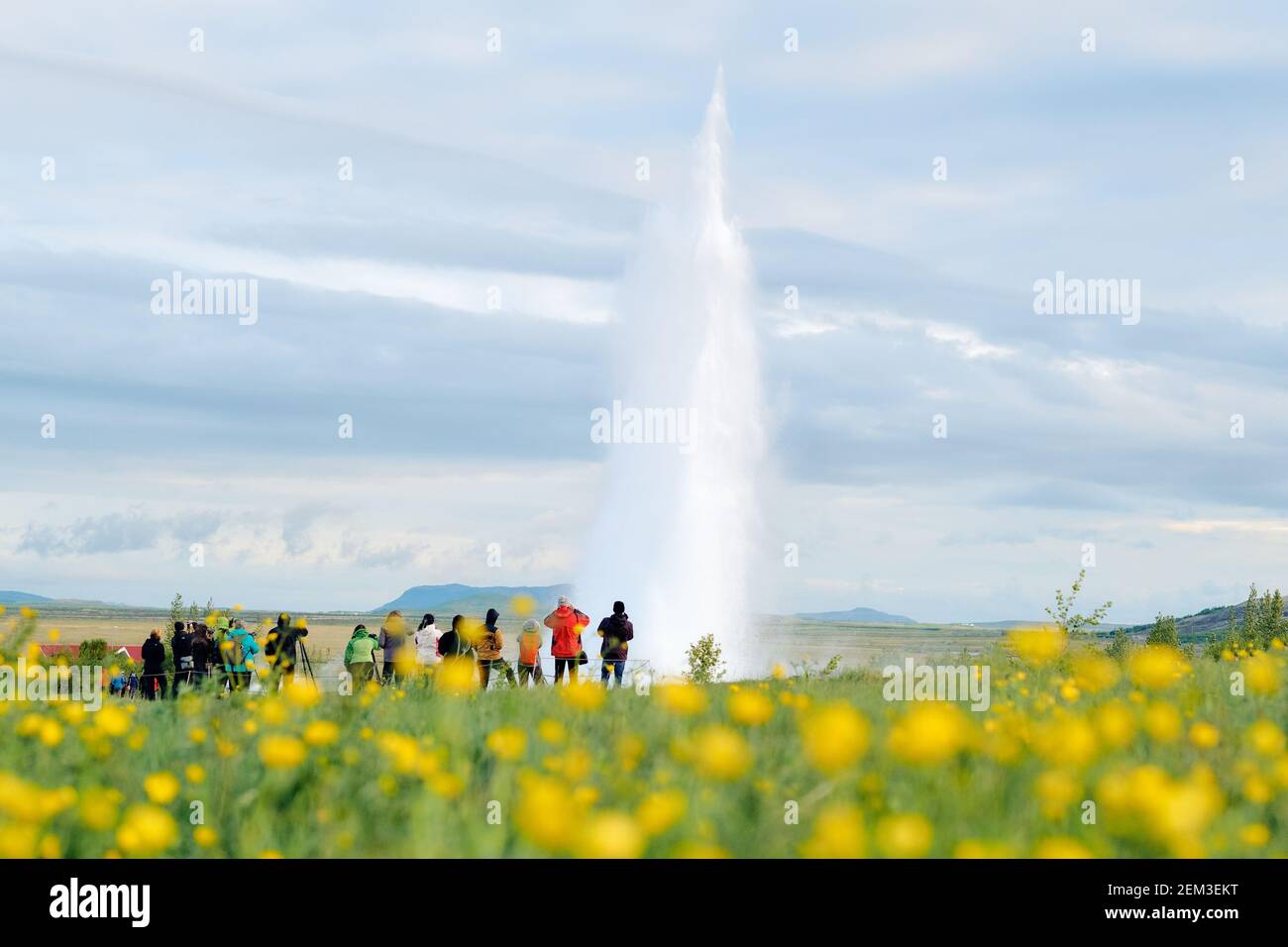 Touristen, die Strokkur Geysir/Geysir beobachten, brechen an den beliebten geothermischen heißen Quellen im Haukadalurtal, Island - Island Tourismus aus Stockfoto