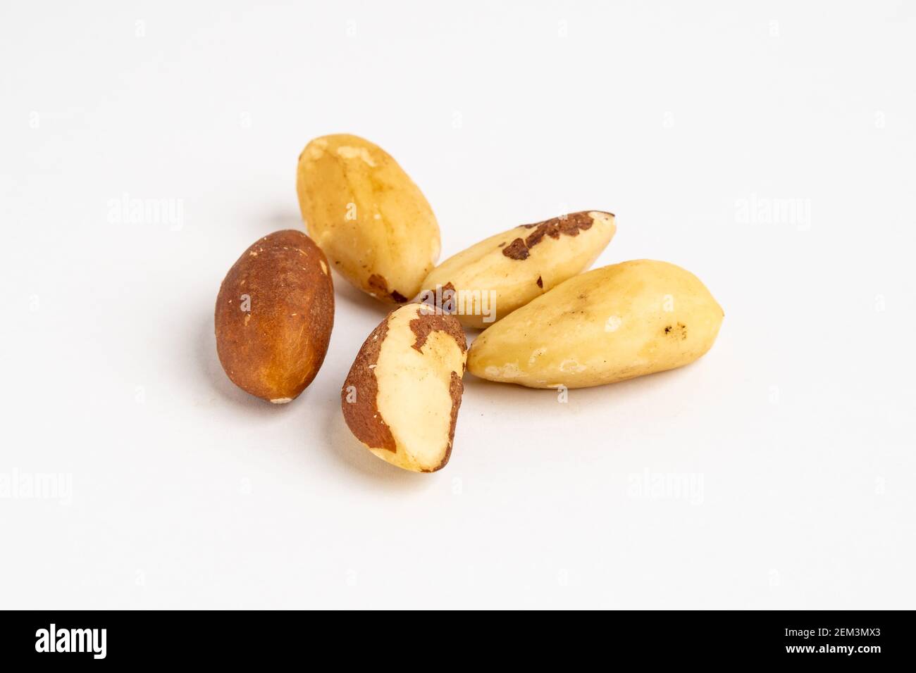 Gruppe von rohen Bio-paranuss (Bertholletia excelsa) Ohne Salz auf neutralgrauem Hintergrund Nahaufnahme Detail Stockfoto