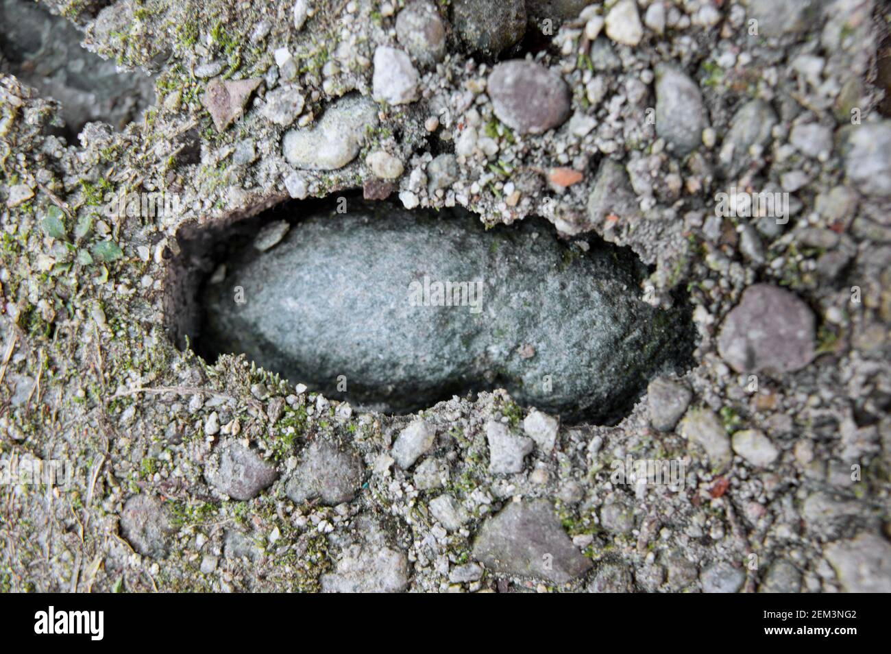 Gefrorener Boden unter Null Stein Detail Stockfoto