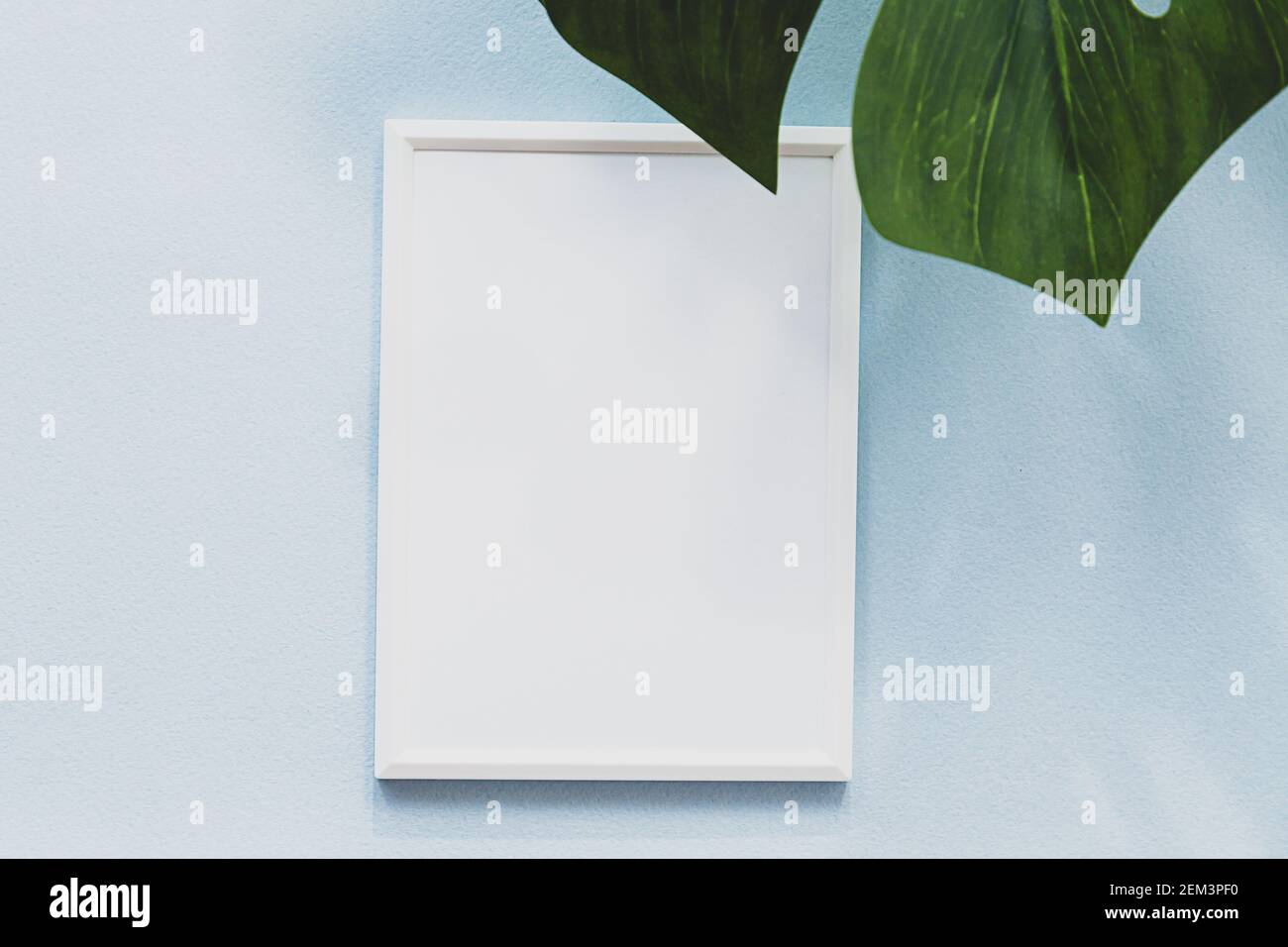 Sommer Komposition, weißer Fotorahmen, Monstera Palmblatt und lange Schatten. Moderne stationäre Wohnung lag auf einem hellblauen Hintergrund Stockfoto