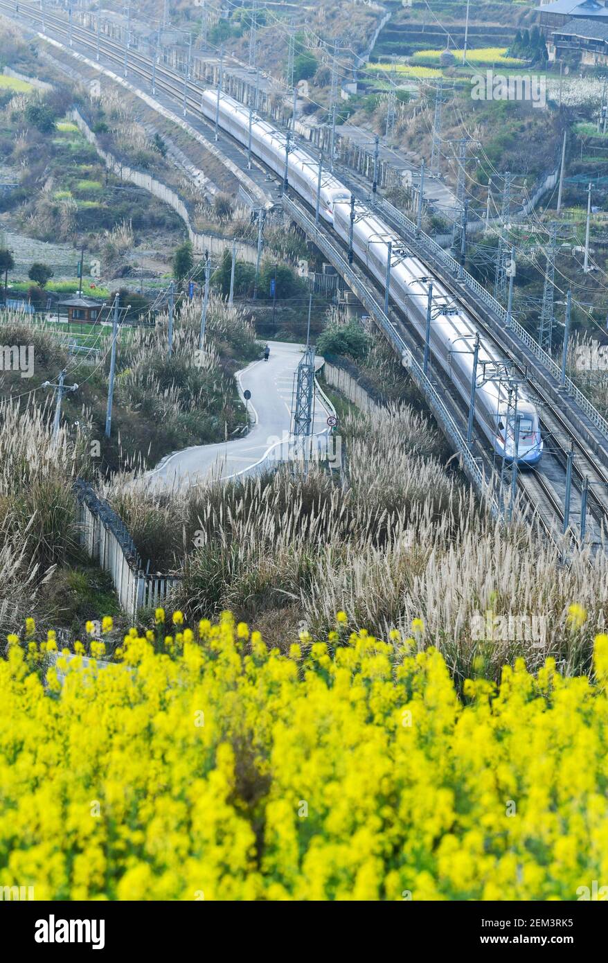 (210224) -- CONGJIANG, 24. Februar 2021 (Xinhua) -- EIN Kugelzug fährt an den Feldern vorbei, die mit blühenden Pflanzen übersät sind, in der Gemeinde Luoxiang im Landkreis Congjiang, südwestlich der Provinz Guizhou in China, 23. Februar 2021. (Xinhua/Yang Wenbin) Stockfoto