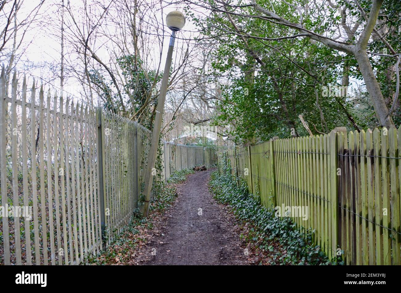 Schlammiger Weg zwischen zwei Zäunen neben highgate wood london england gb Stockfoto