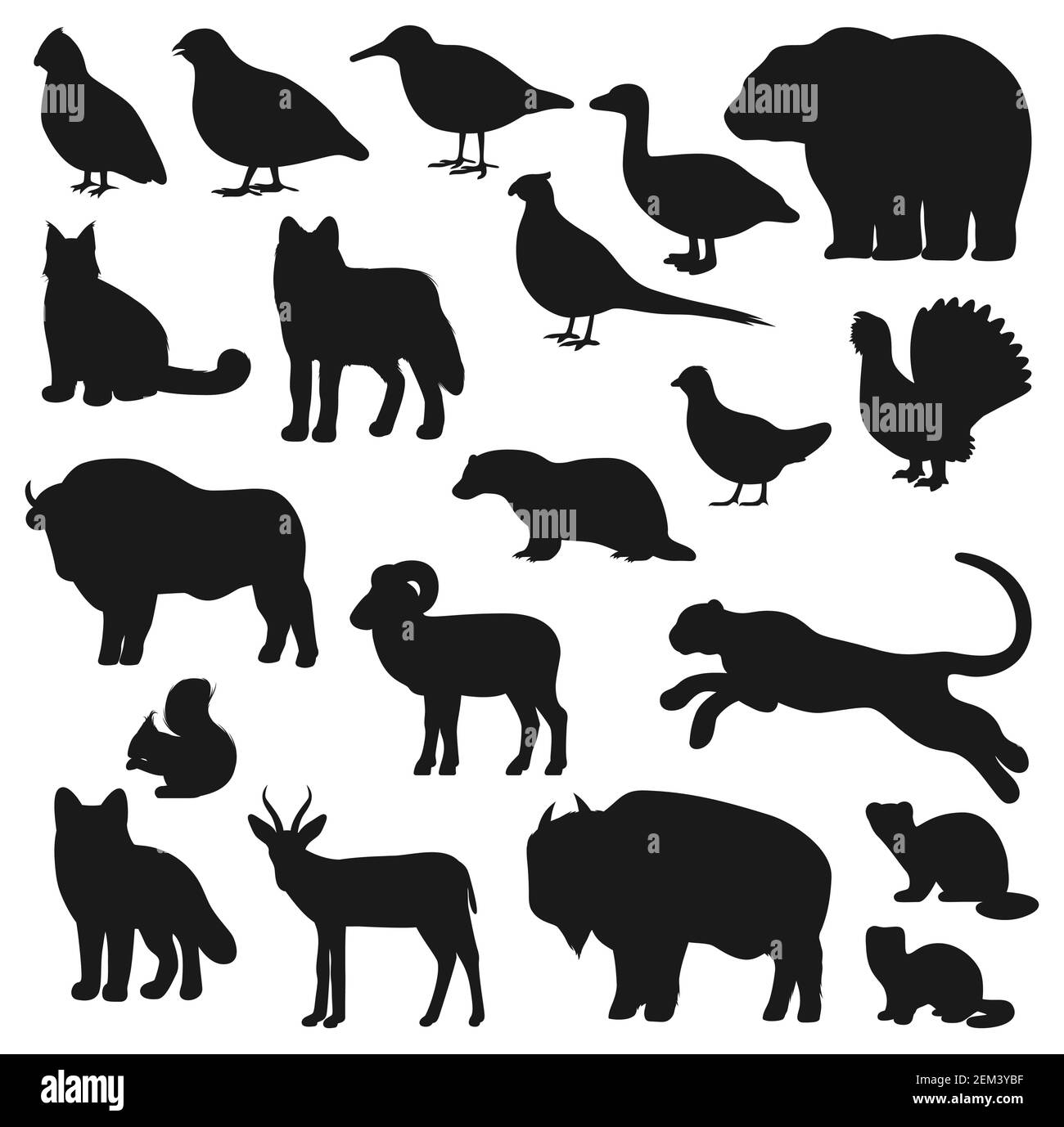 Tier und Vogel schwarz Silhouetten der Jagd Sport-Design. Vector Bär, Wolf und Ente, afrikanischen Büffel, Fuchs und Fasane, Bisons, panther oder Leopard, g Stock Vektor