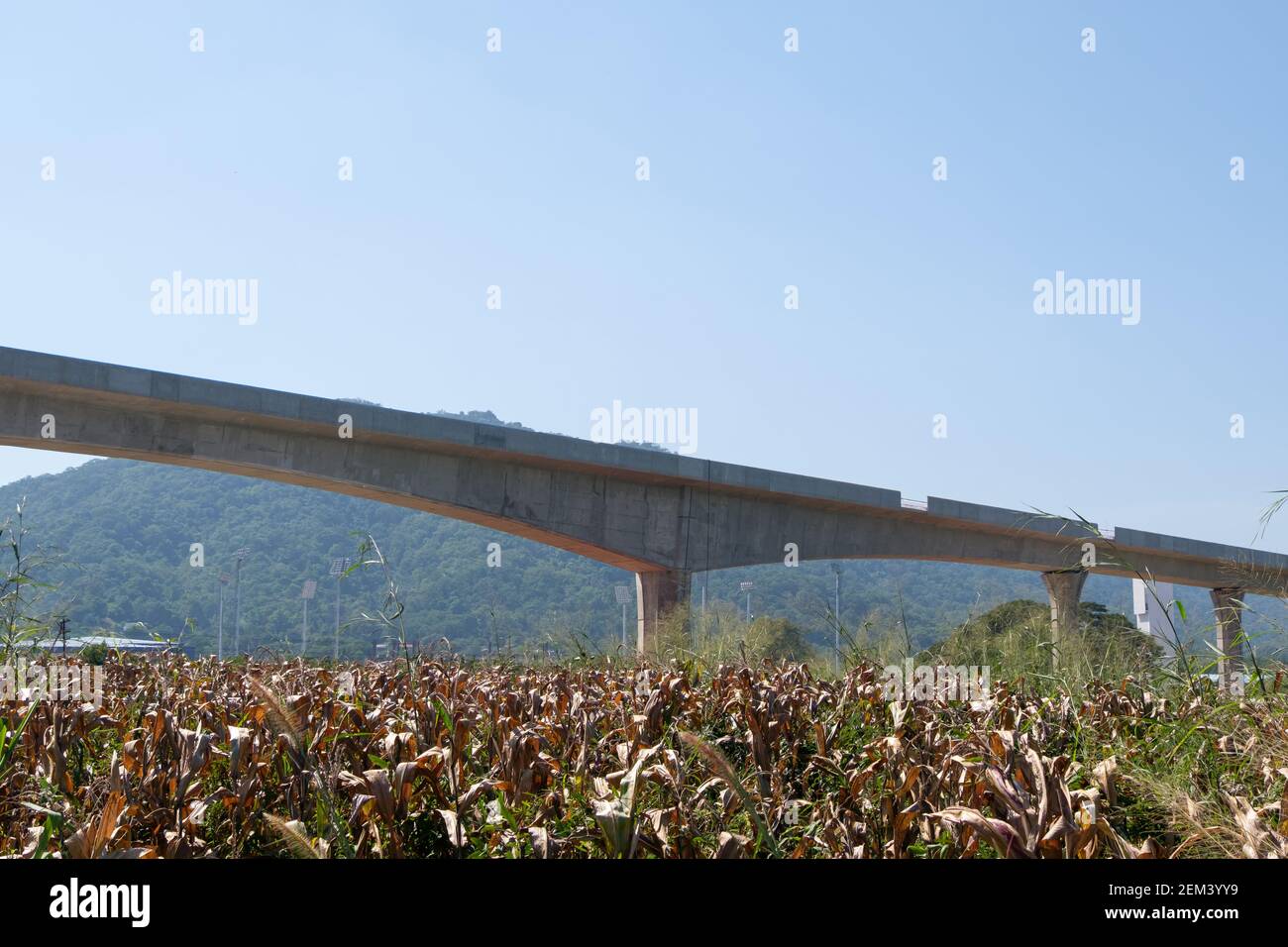 Die erhöhte Eisenbahnbrücke des zweigleisigen Projekts ist im Bau, über die Maisfarm zu der kleinen Stadt im Tal, Vorderansicht mit Stockfoto
