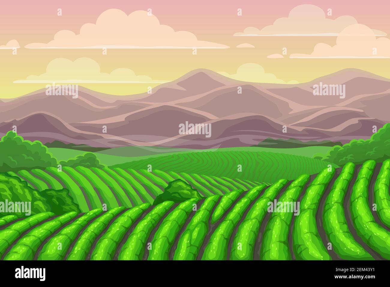 Ceylon landschaft kaufen Alamy