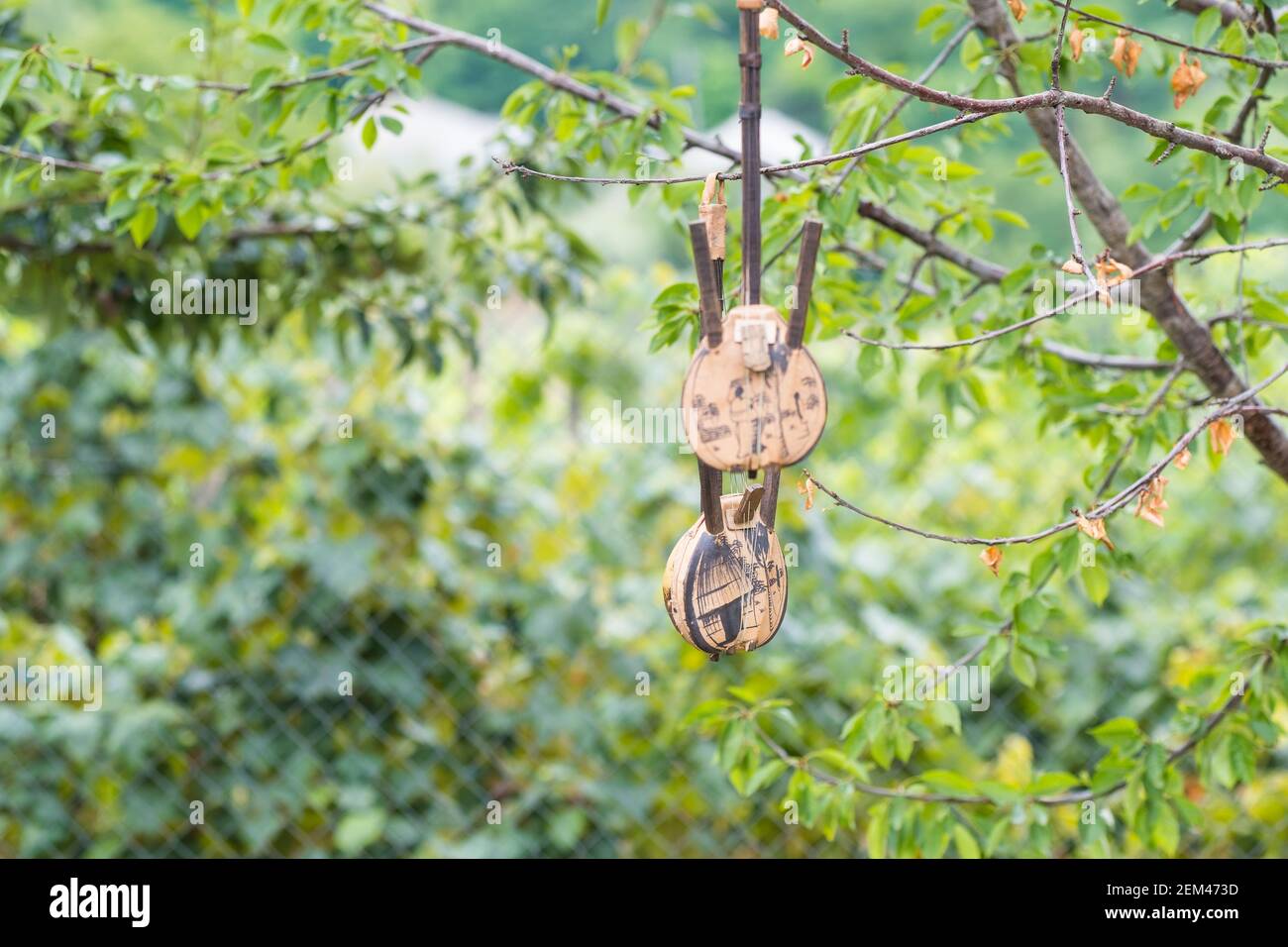 Zwei alte und traditionelle handgemachte Gitarren, die in den Bäumen hängen An einem Sommertag Stockfoto