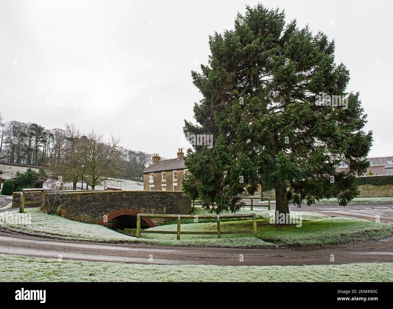 Große Kiefer im Winter ländliche Landschaft Dorf grüne Landschaft Mit Steinbrücke Stockfoto