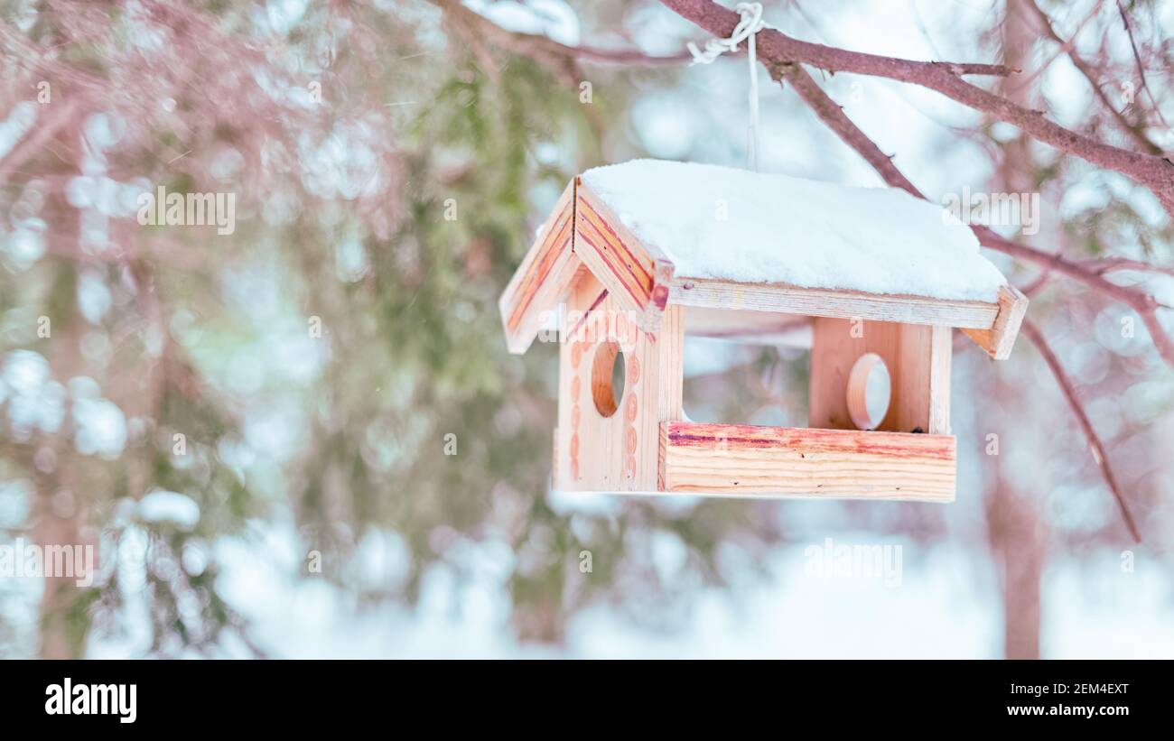 Schneebedeckte Vogelfutterhäuschen aus Holz, die im Winterwald hängen. High-Key-Bild, selektiver Fokus auf der Zuführung Stockfoto