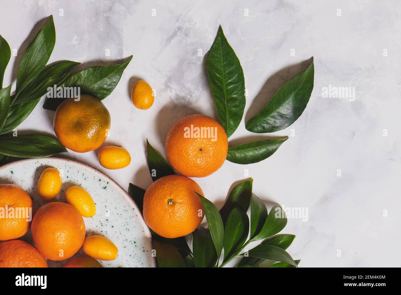 Zitrusfrüchte mit grünen Blättern in einem weißen Teller auf Marmorboden. Stockfoto