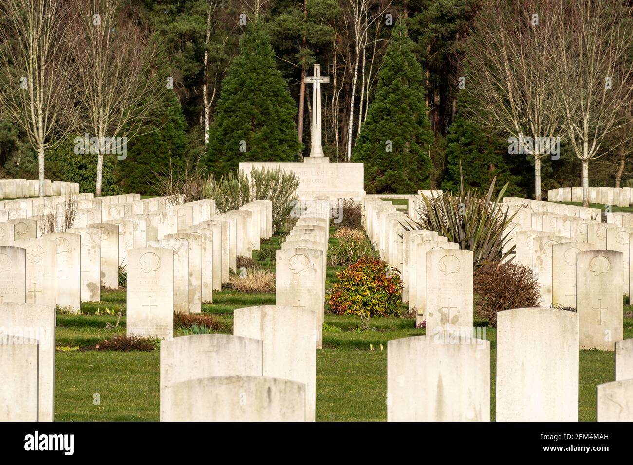 Kanadische Kriegsgräber und Gedenkkreuz des Opfers auf dem Brookwood Military Cemetery in Surrey, England, Großbritannien Stockfoto