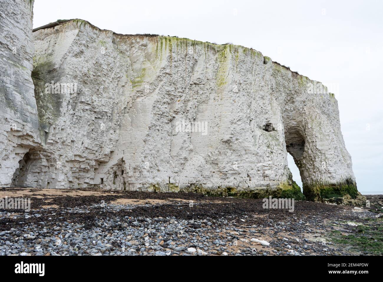 Kingsgate Bay Sea Arch in Kent England an einem bewölkten Tag, mit Felsen und Seegras am Strand Zimmer für Kopie Porträt Stockfoto