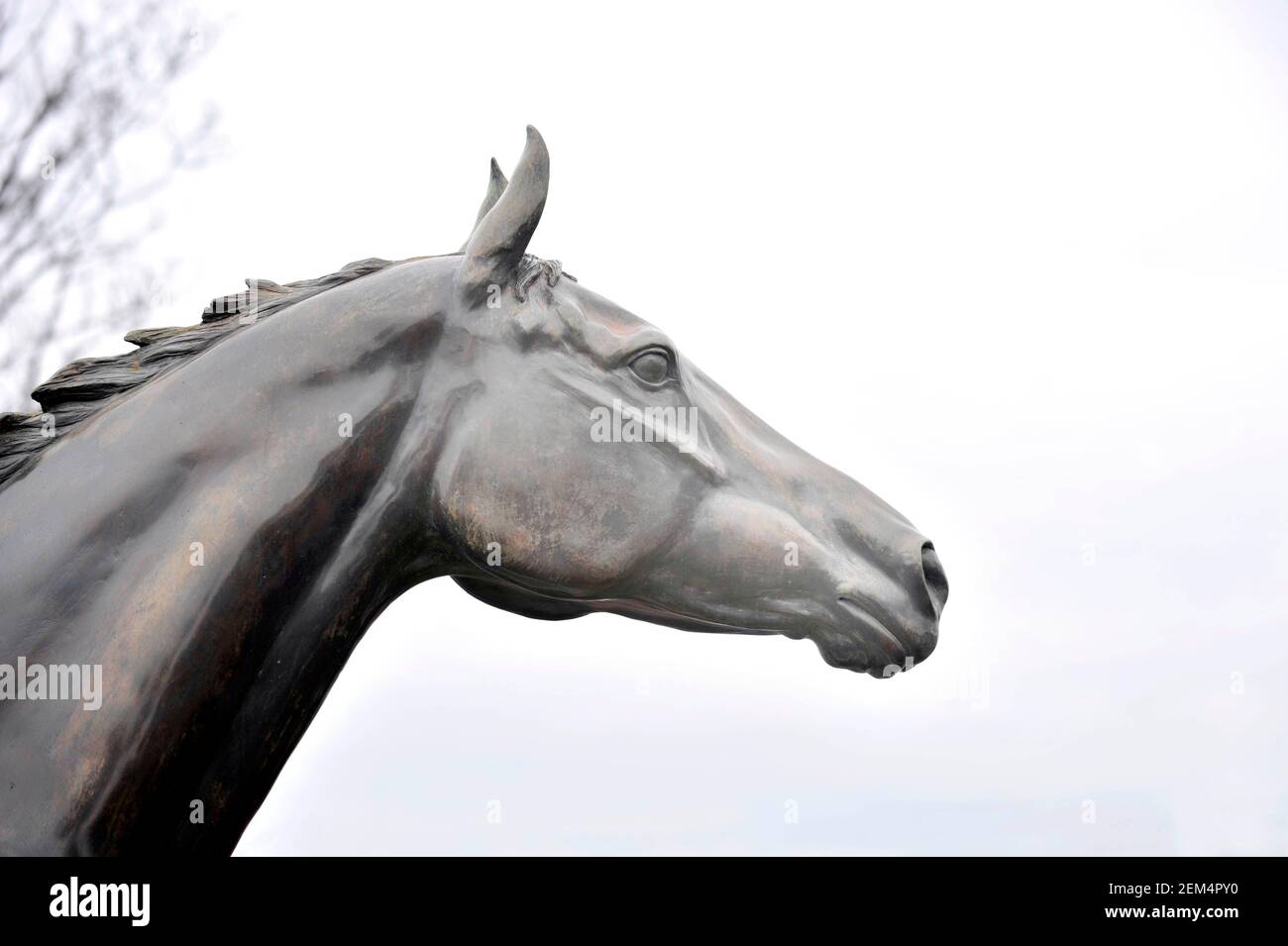 RACING AINTREE GRAND NATIONAL MEETING. 4/4/2008. BILD DAVID ASHDOWN Stockfoto