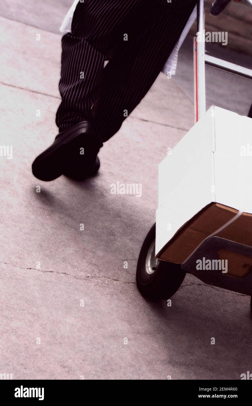 Rückansicht einer Person, die einen Gepäckwagen trägt Stockfoto