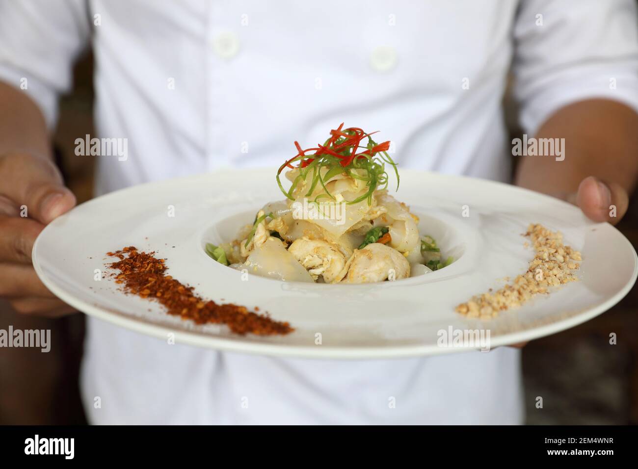 Gebratene Nudeln mit Huhn Stockfoto