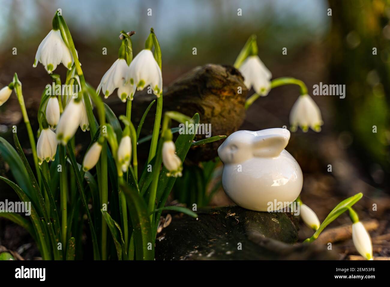 Osterhase aus Porzellan wartet auf den Schneeglöckchen auf seinen Auftritt. Osterhase aus Porzellan wartet vor den Schneeglöckchen, um zu erscheinen. Ostern Stockfoto