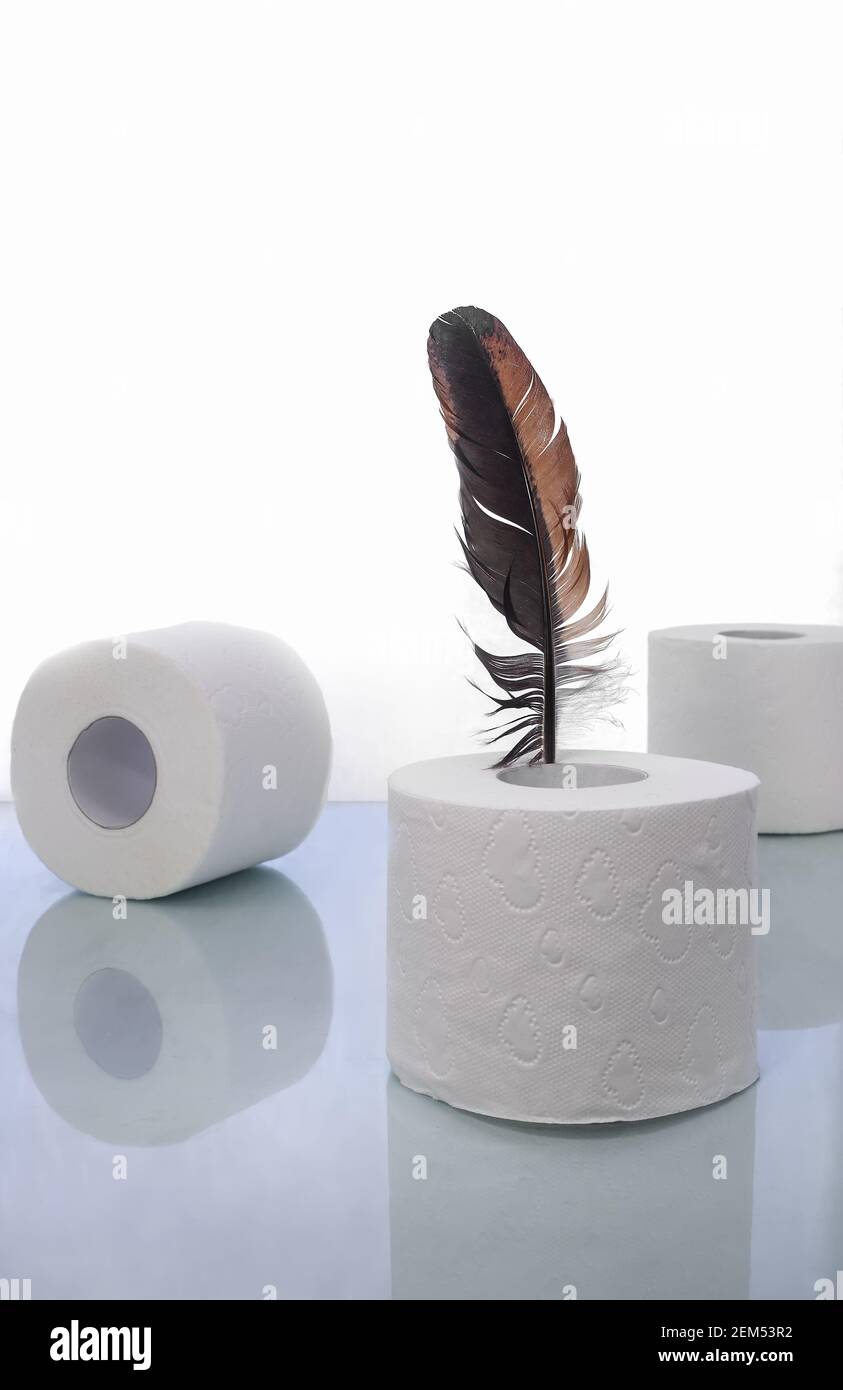 Toilettenpapier und eine Vogelfeder, ein Symbol für weiche Note. Stockfoto