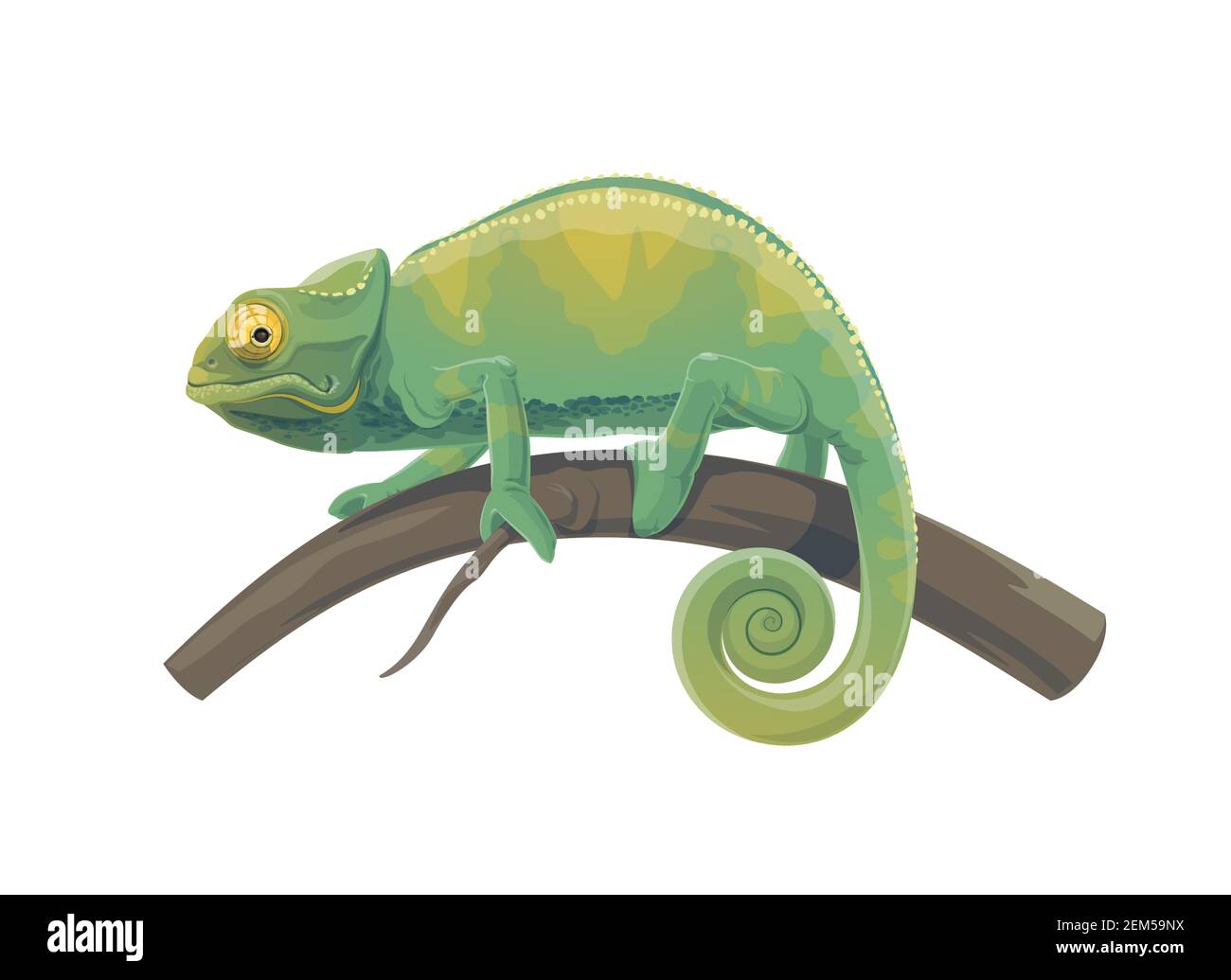 Chameleon Eidechse Vektor-Design von tropischen Tieren. Grünes Reptil mit geschwungenem Schwanz, der auf einem Zweig des Dschungelbaums oder Madagaskar-Regenwaldpalme läuft, Exot Stock Vektor