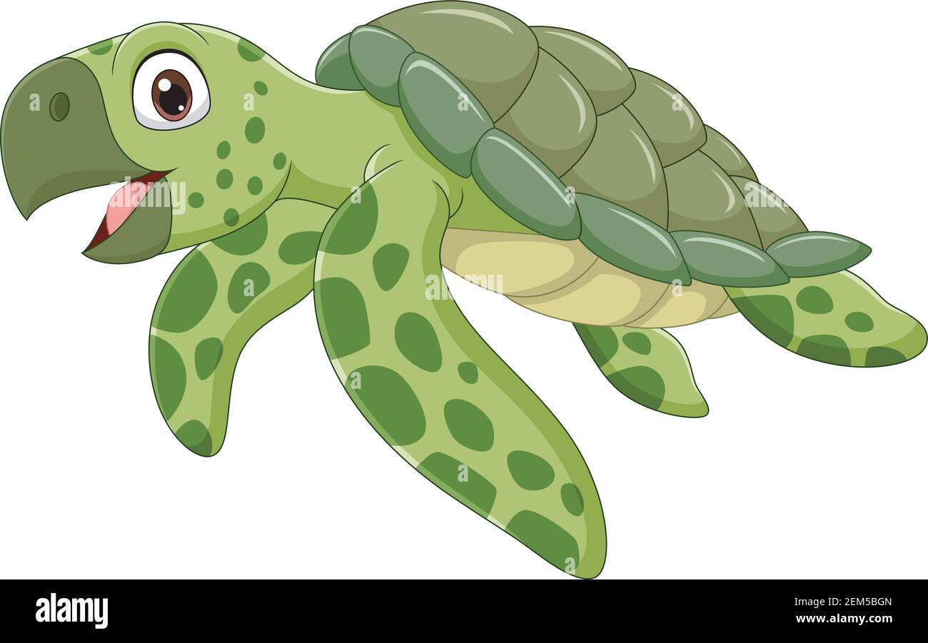 Cartoon Sea Turtle auf weißem Hintergrund Stock Vektor