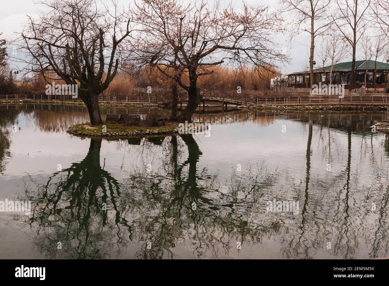 Verträumte Landschaft mit Bäumen Reflexionen auf einem Teich ruhigen Wasser. In Thessalien, in der Nähe von Larisa Stadt, Griechenland, Europa Stockfoto
