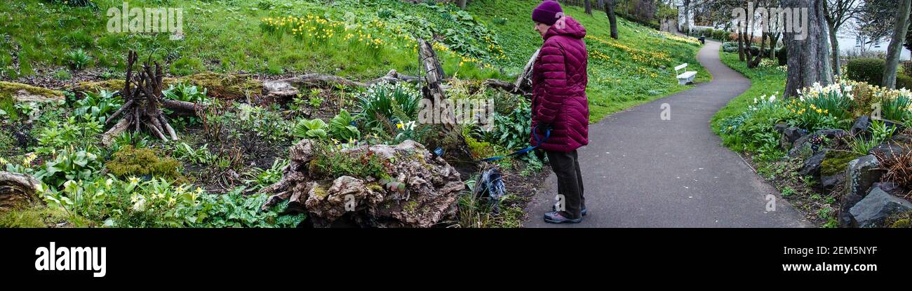 Frau schaut auf Stumpery in Lodge Grounds, North Berwick Stockfoto