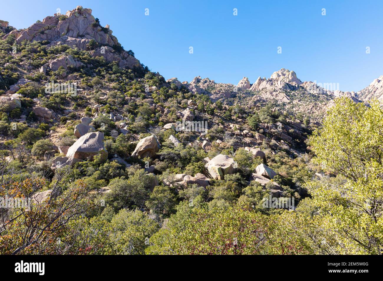 Cochise Indian Trail, Cochise County, Southern Arizona, USA Stockfoto