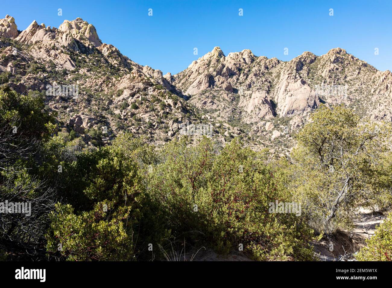 Cochise Indian Trail, Cochise County, Southern Arizona, USA Stockfoto
