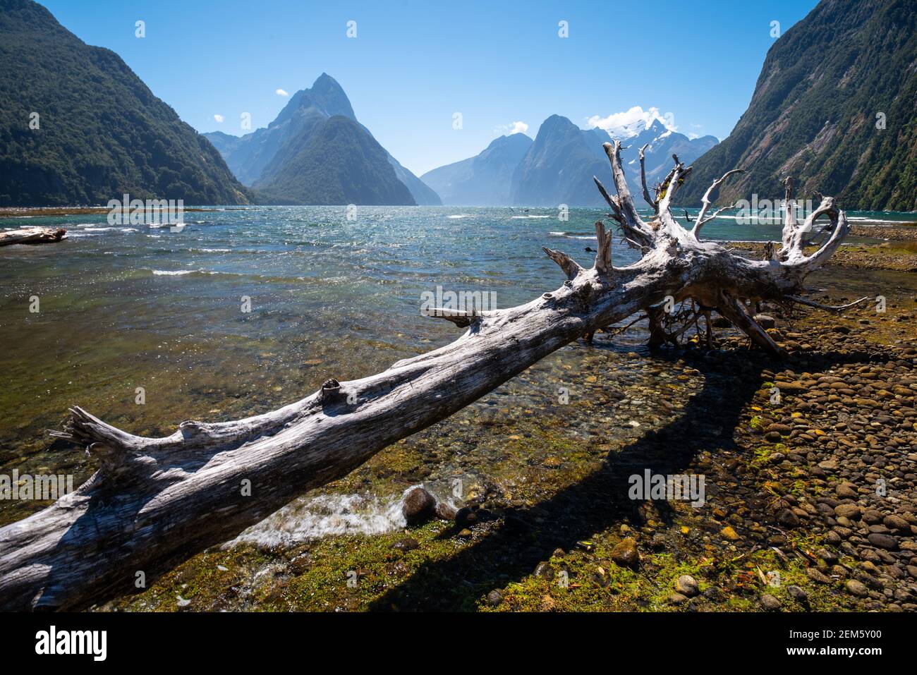 Mitrer Peak reflektiert auf ruhiger Wasseroberfläche im Milford Sound - Piopiotahi, Fiordland, Nez Zealand Stockfoto