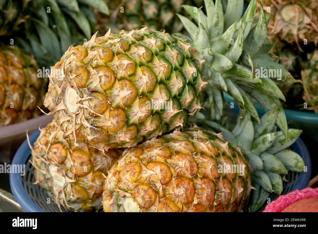 Bündel von ganzen, reifen Ananas aus der Nähe fotografiert. Stockfoto