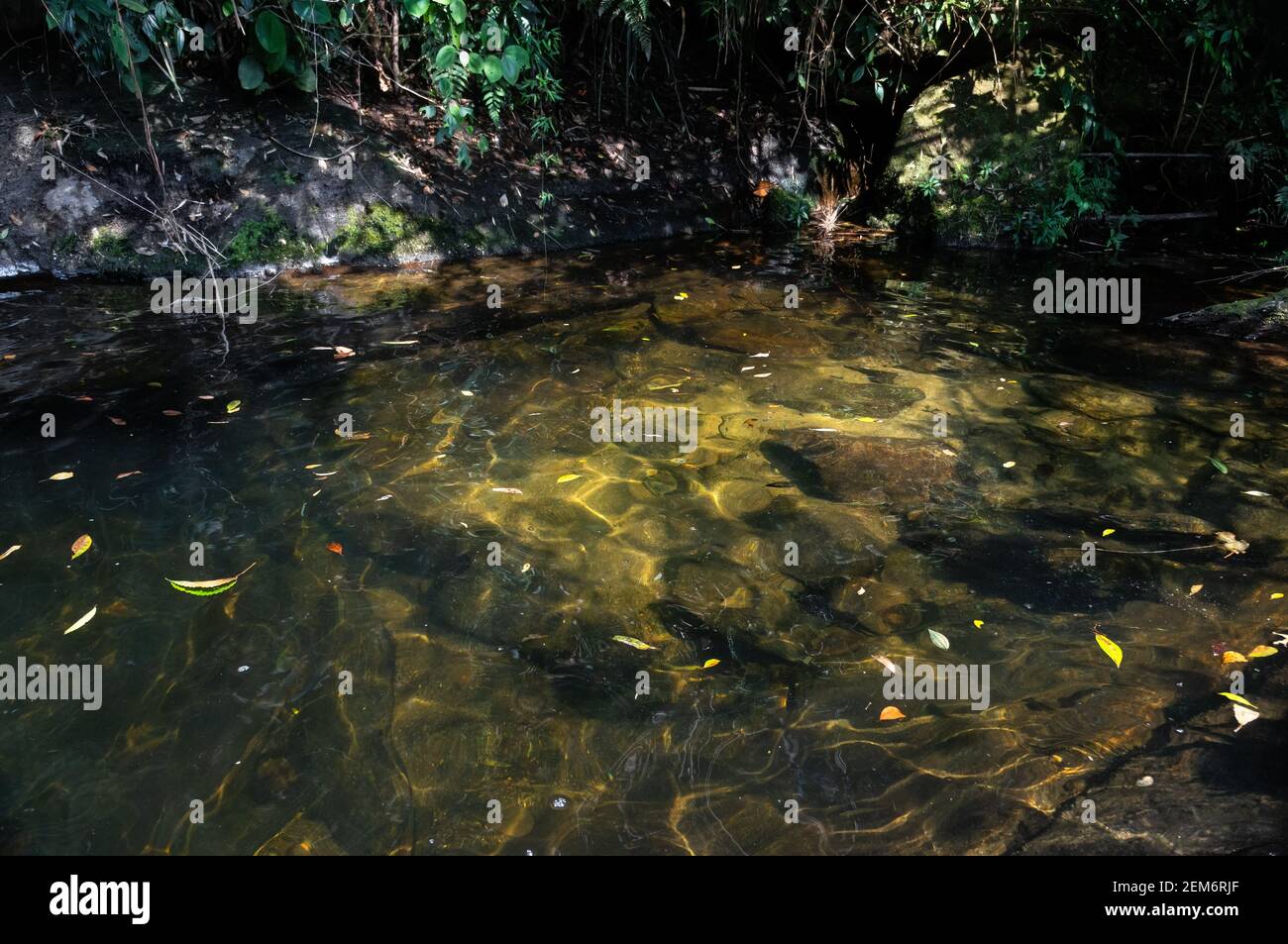 Ipiranguinha Wasserfall golden Aussehen natürlichen Pool auf der obersten Ebene mit einigen Felsformationen und Vegetation in der Mitte der Serra do Mar Wald. Stockfoto