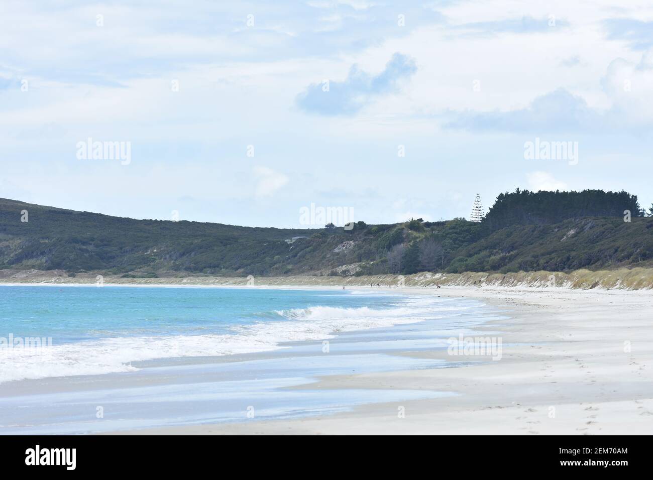 Milde Brandung am flachen weißen Pazifik-Strand mit Sanddünen entlang der Küste. Stockfoto